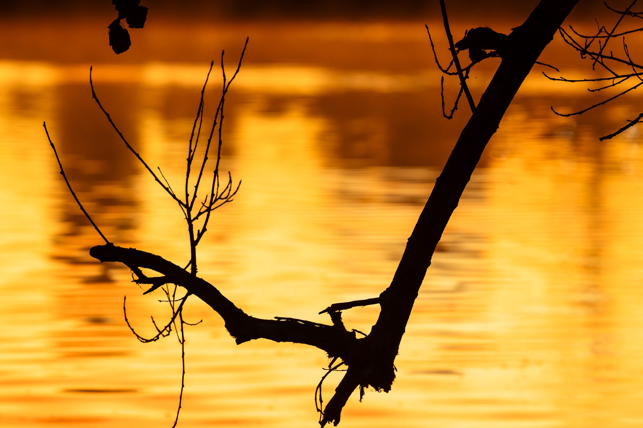 Sunrise in Sepulveda