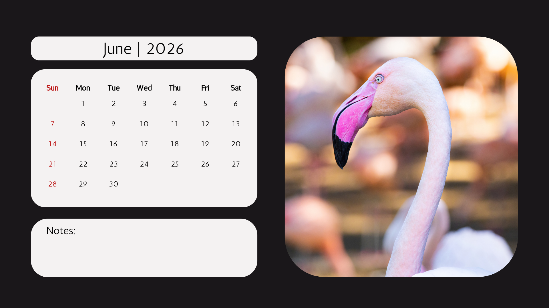 Edi WIldlife  2026 Calendar2.png