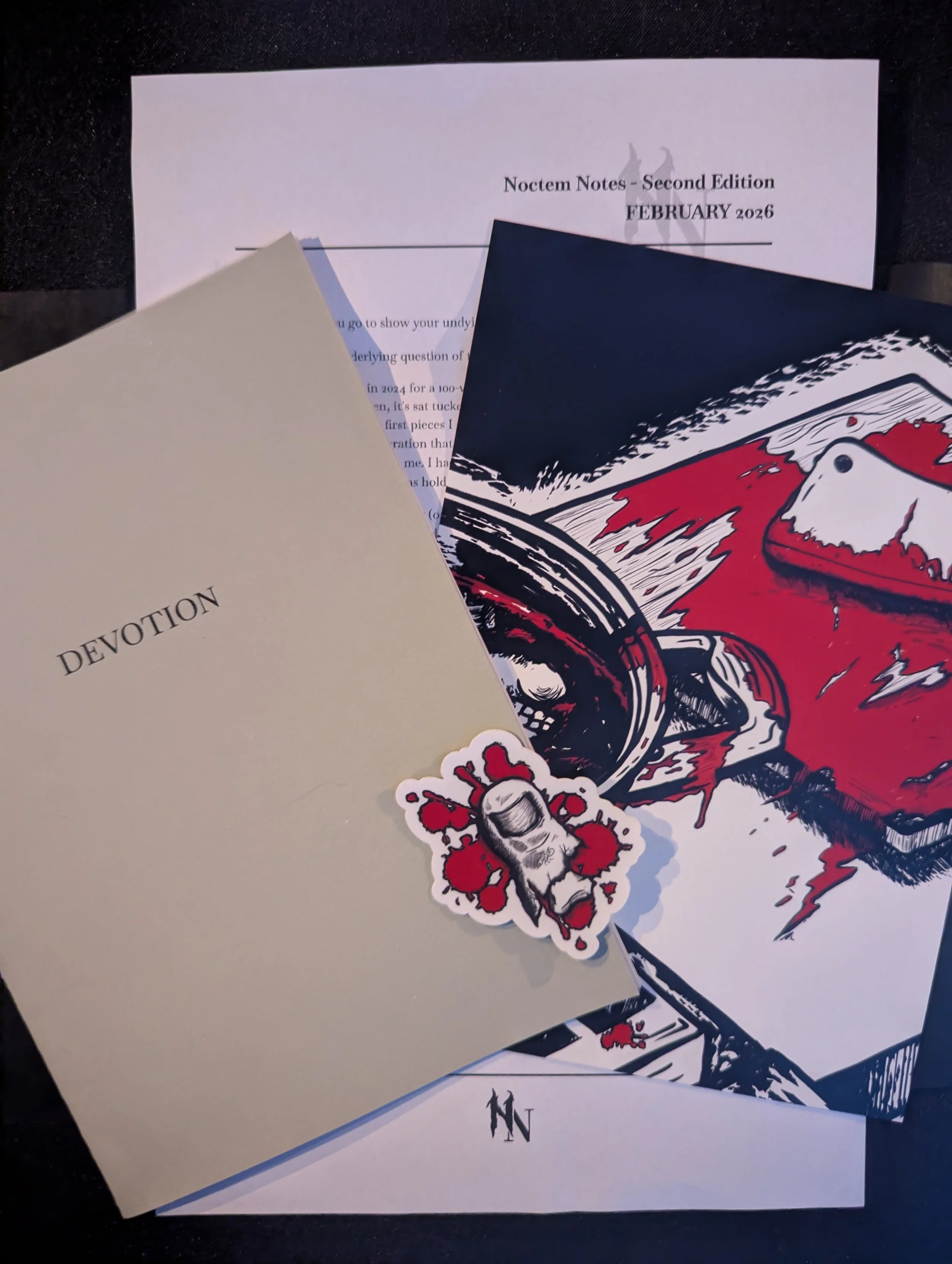 NOCTEM NOTES - FEBRUARY EDITION (CATCH UP)