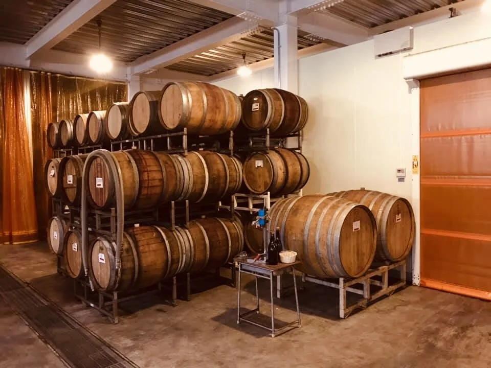 日本ワインを学ぼう！世界に負けない国産ワインの基礎知識