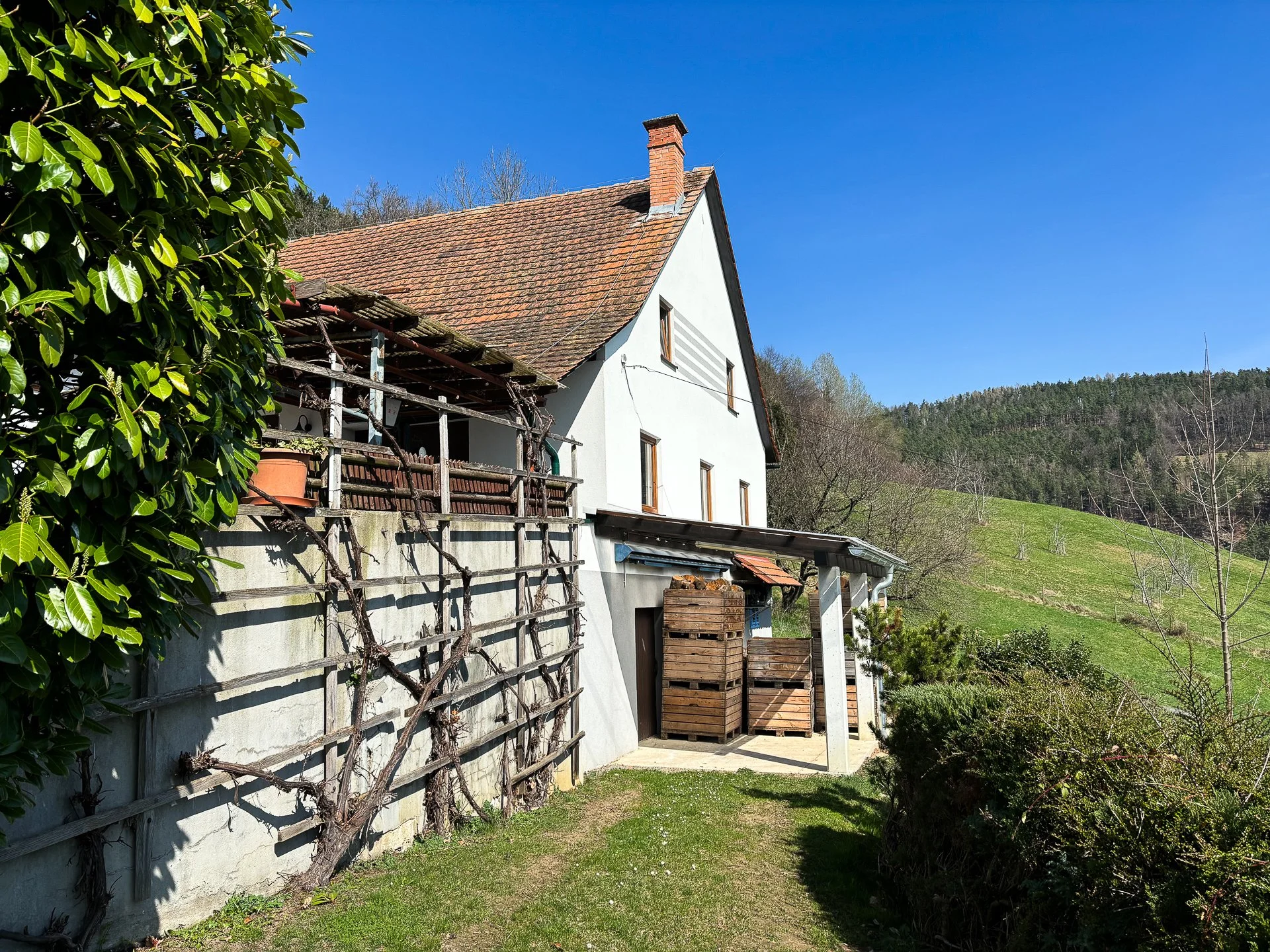 Tribondeau Immobilien_02.26 web-0107.jpg