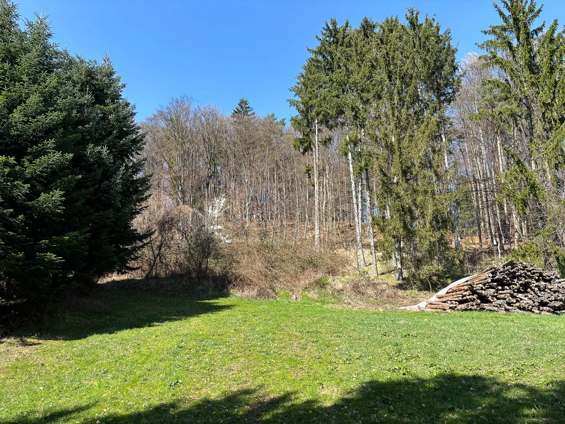 Tribondeau Immobilien_02.26 web-0113.jpg