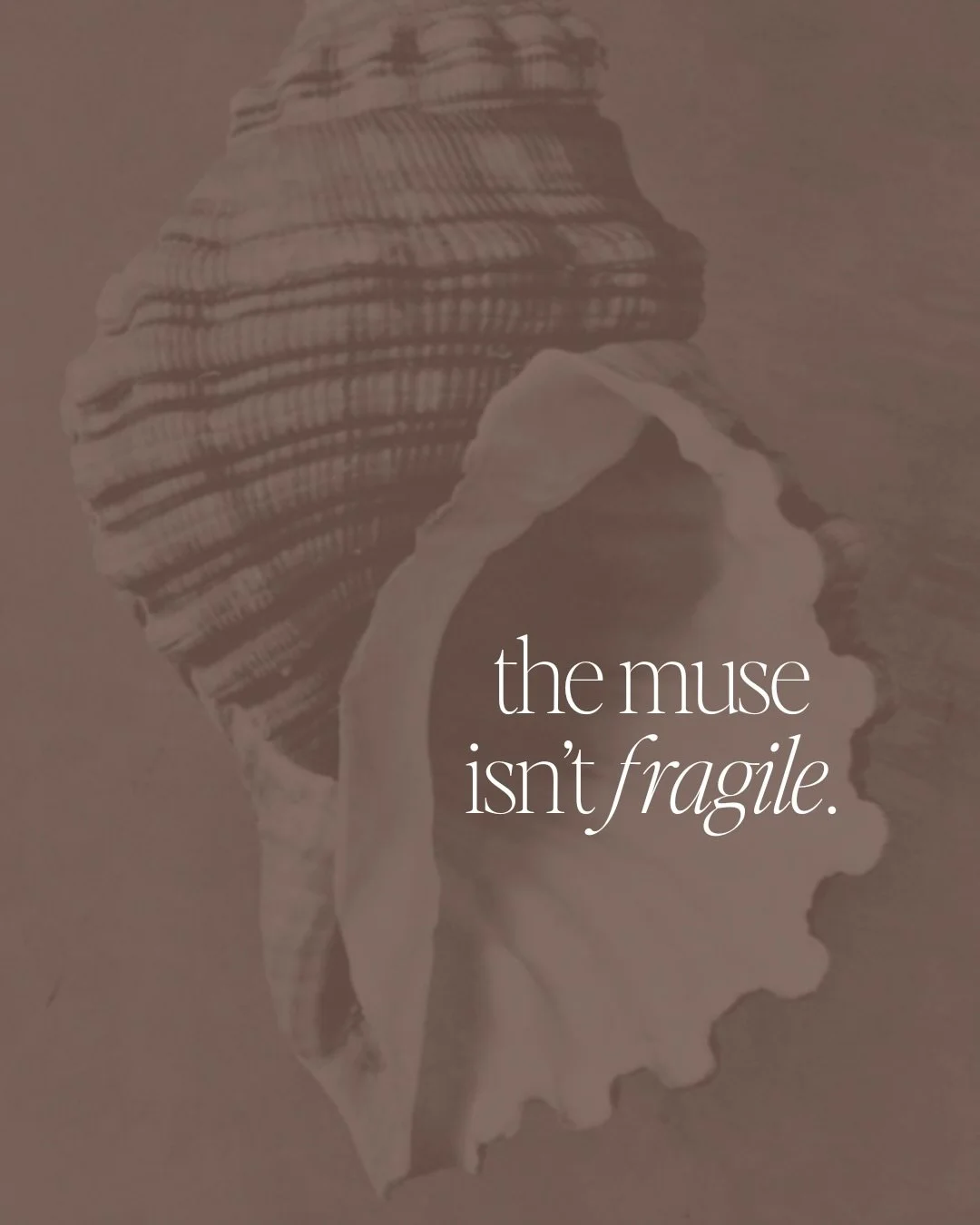 Thoughts from my journal 🐚