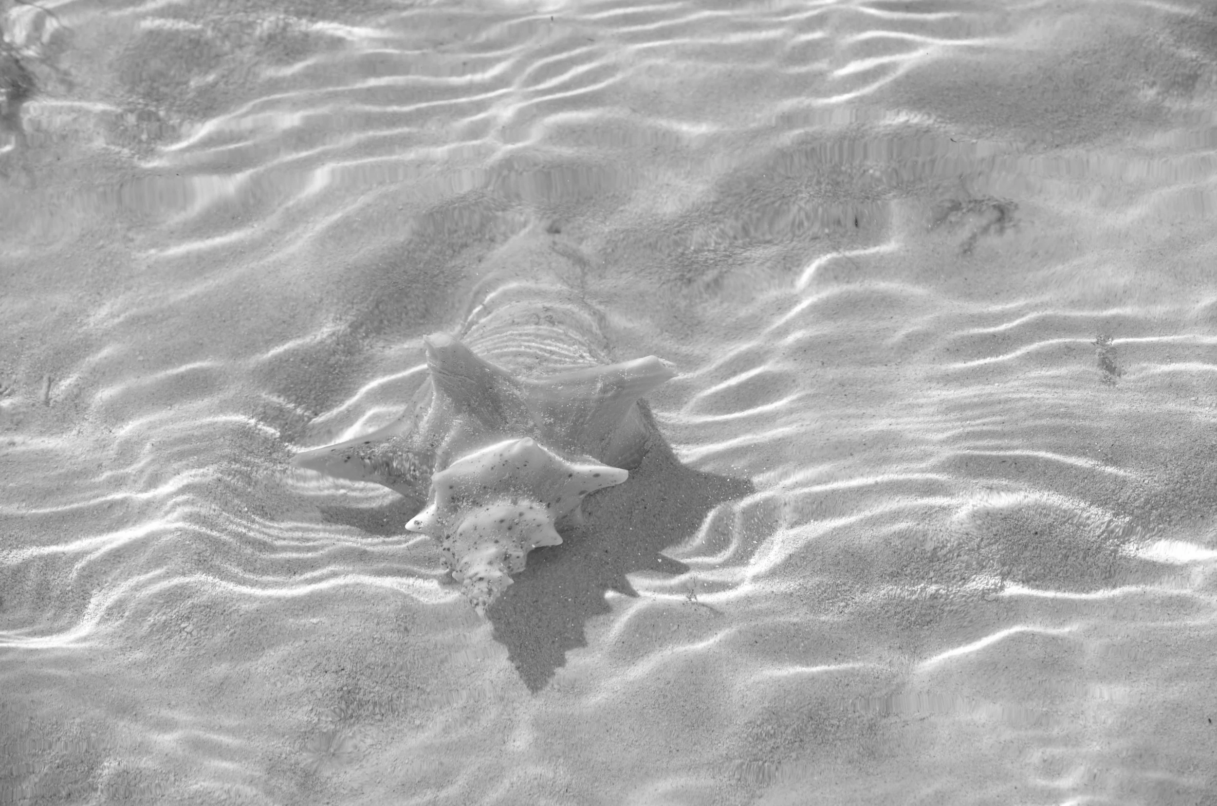 Why Owning Your Style Is The Best Strategy