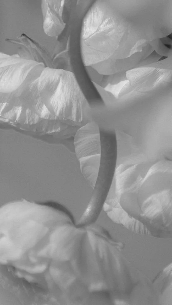 How I’m Stepping Back From Social Media To Grow My Business