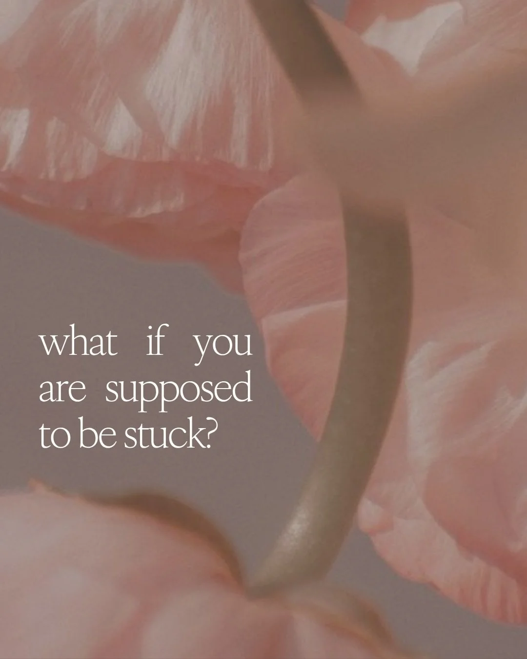 I&rsquo;m speaking to many people unsure on their next steps right now. 

Something that tends to follow up with &ldquo;and I should&rdquo;.

But what if the entire point is that you don&rsquo;t because the world needs your confusion, your frustratio