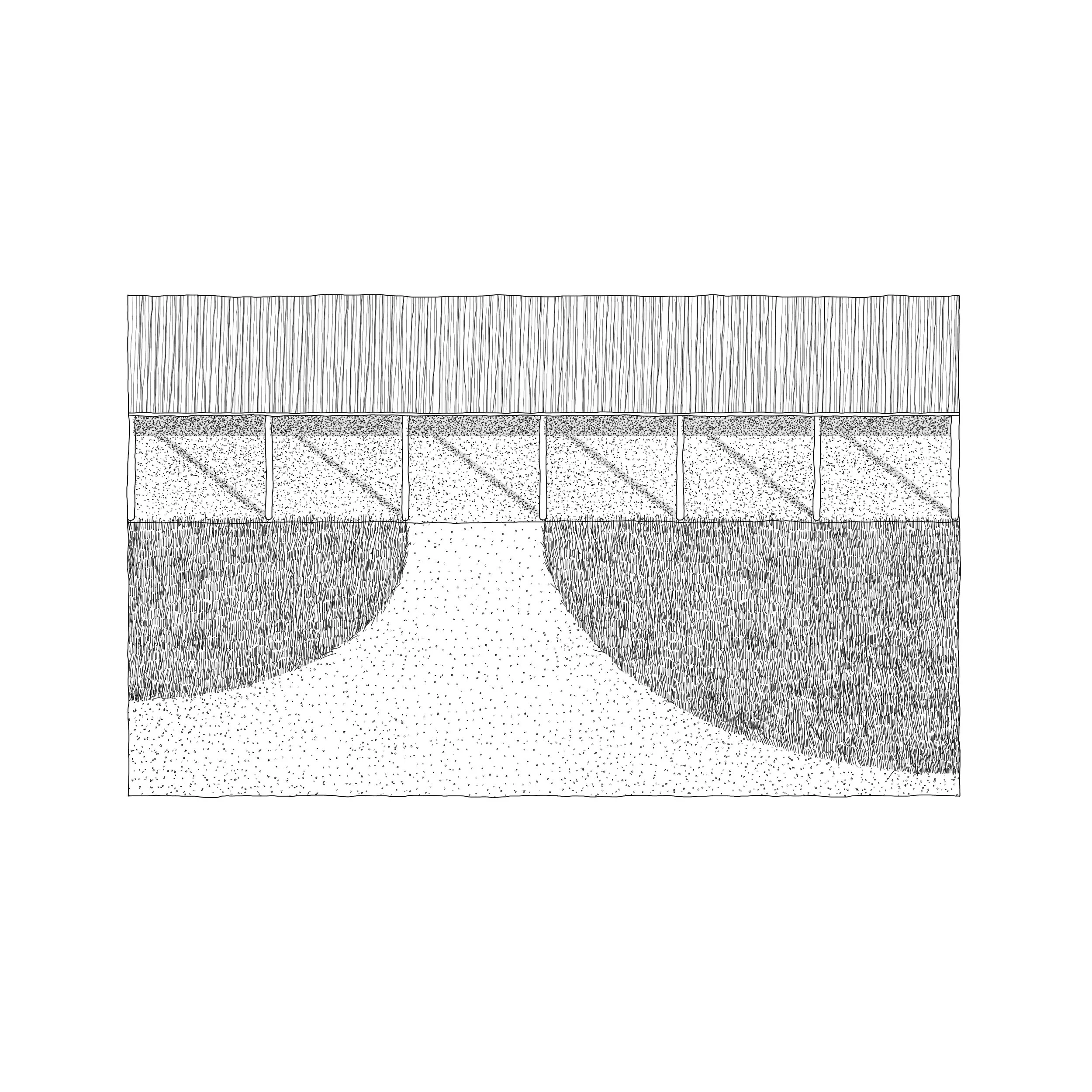 Line drawing of a simple garden with a pathway leading to a fence, with grass on either side of the path.