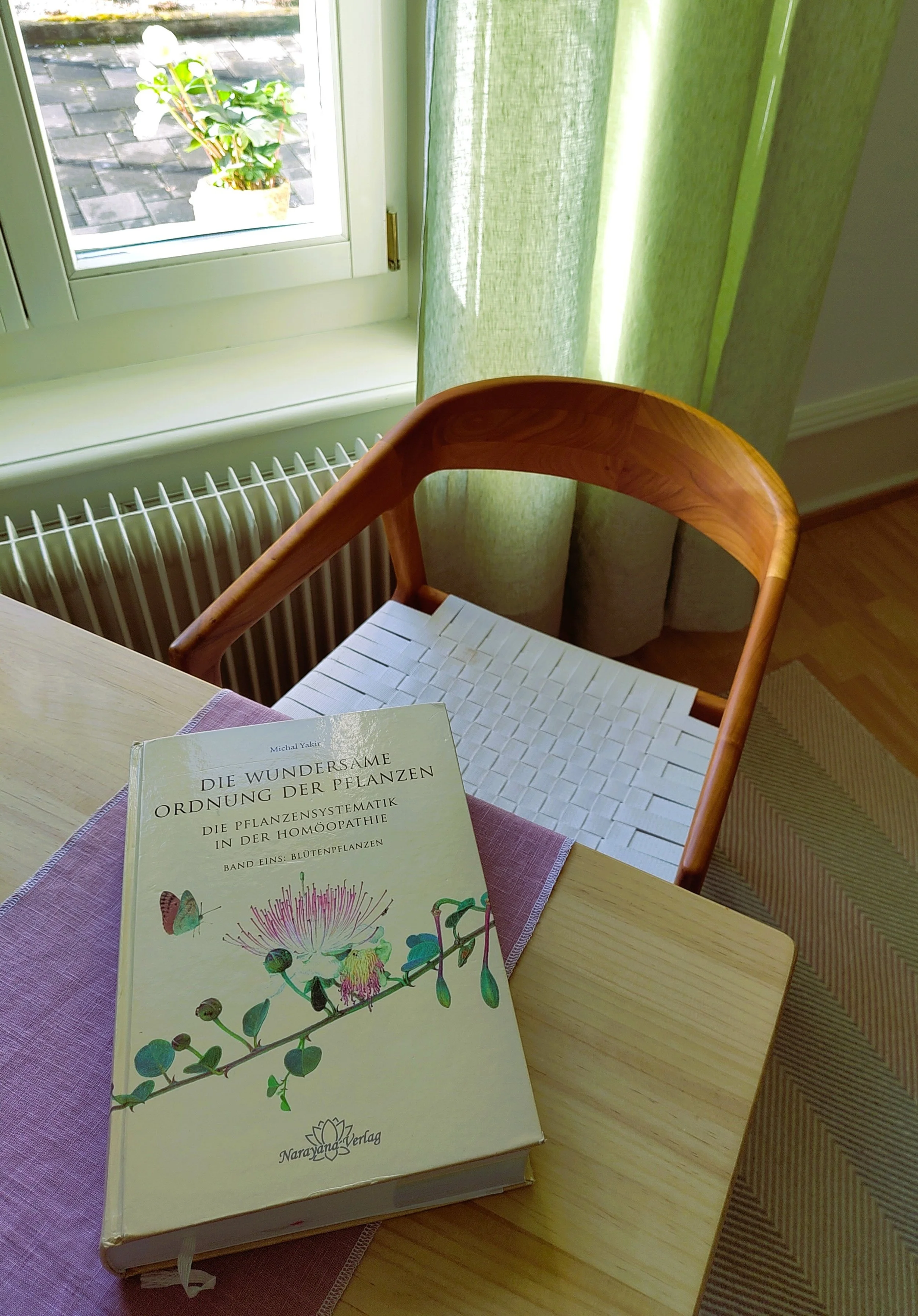 Ein Buch liegt auf einem Tisch neben einem Stuhl in einem Raum mit grünen Vorhängen. Im Hintergrund ist ein Fenster mit Blick nach draußen, wo eine Pflanze im Blumentopf auf der Fensterbank steht.