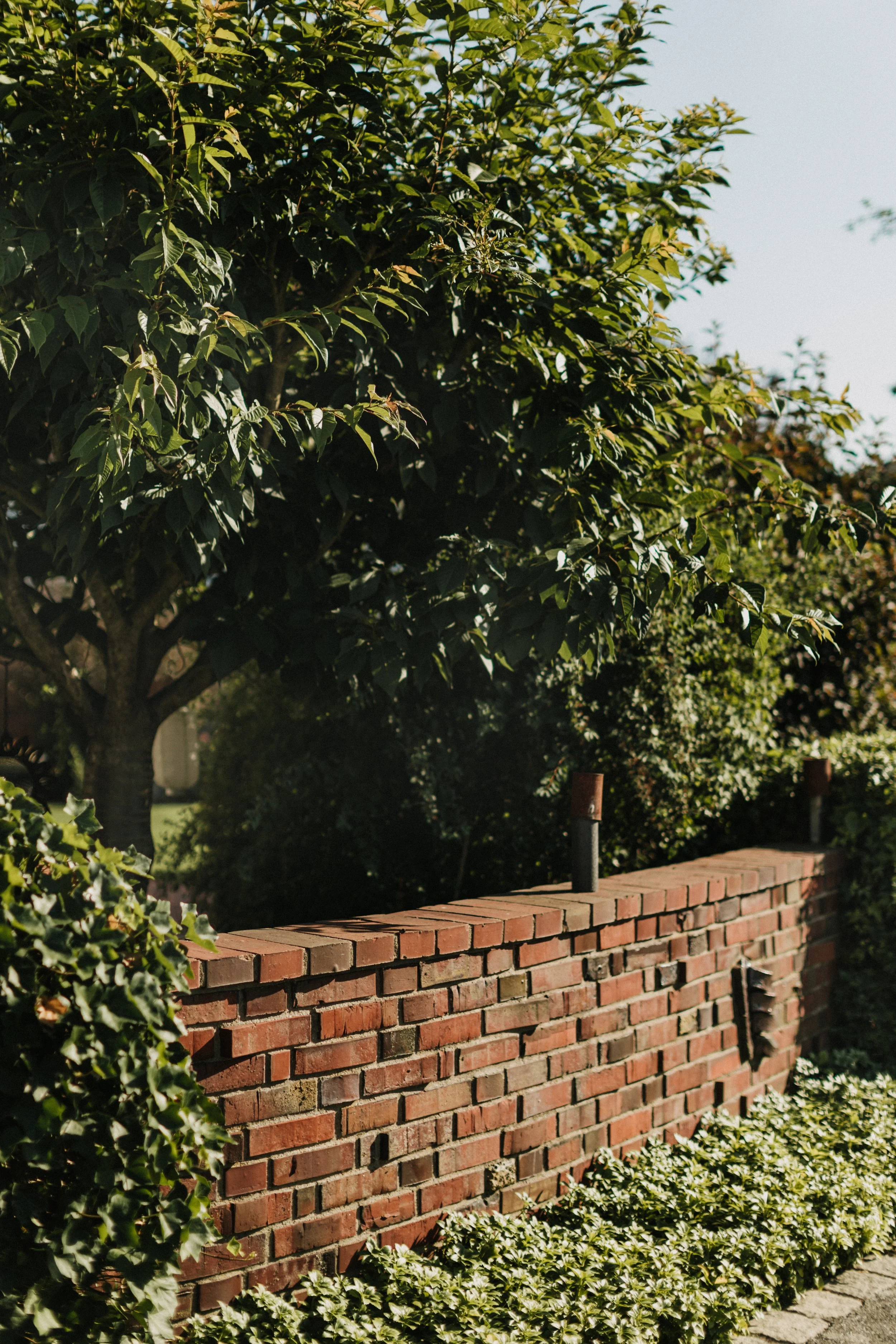 Eine Szenerie mit einem memory rasen, einer Mauer aus roten Ziegeln, Büschen und einem großen Baum im Sonnenschein.