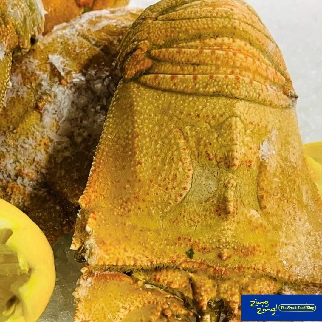 Moreton Bay Bugs PIC.jpg