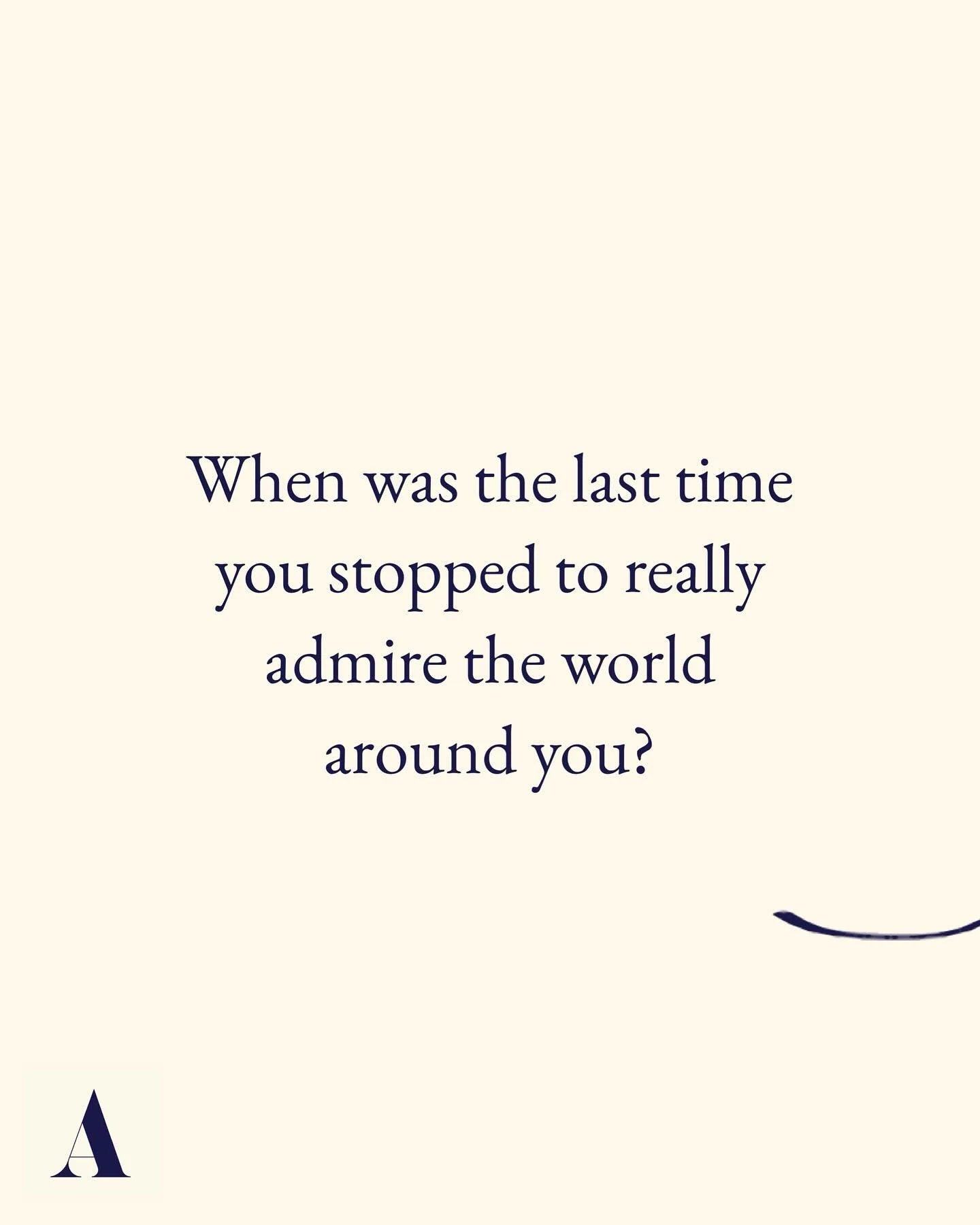 Take a moment to focus on what is right in front of you: everyday wonders hide behind familiarity 🌱
#mindfulness #attention #focus #mindset #presentmoment #awefulmind