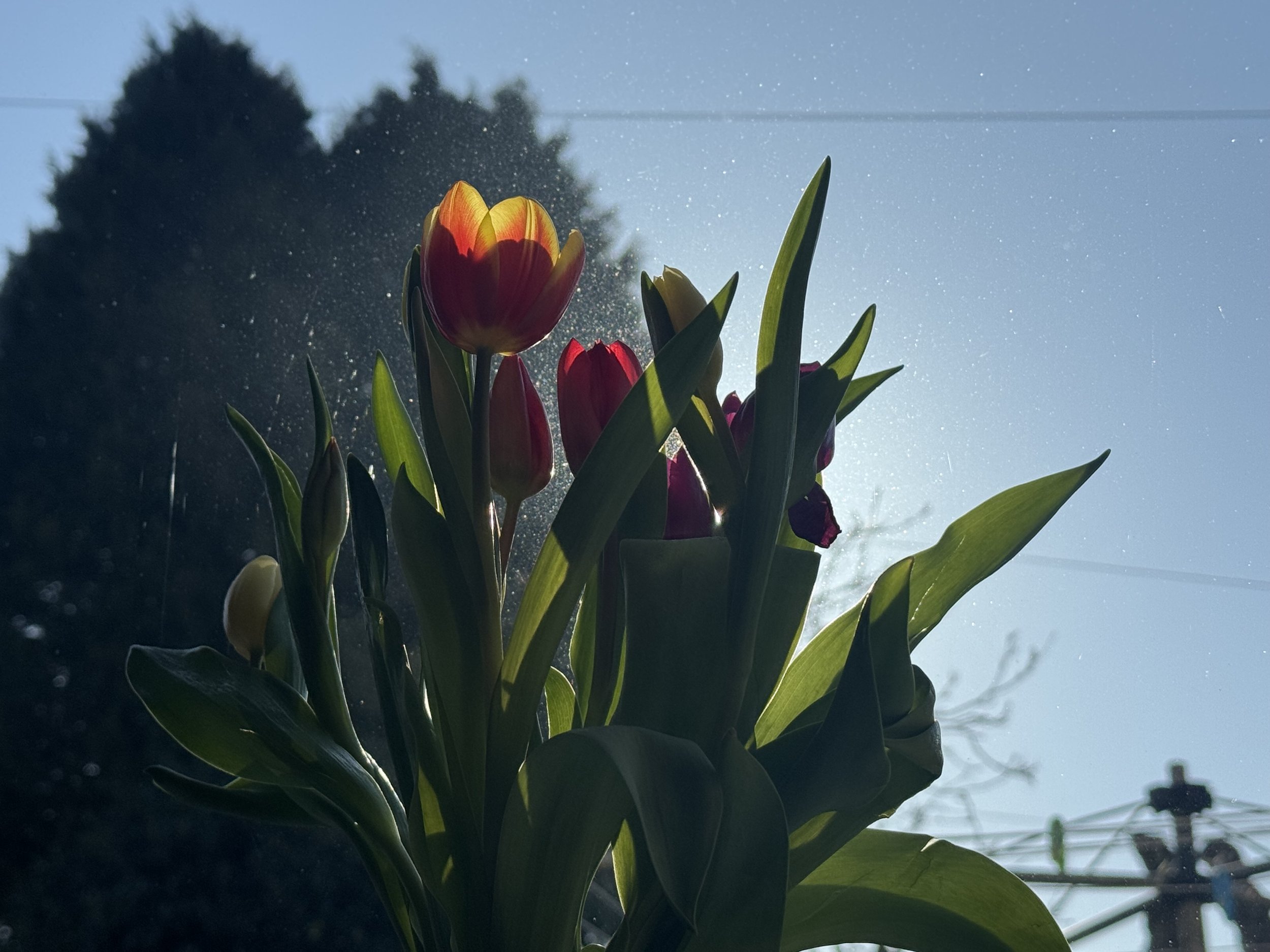 Between Being and Becoming