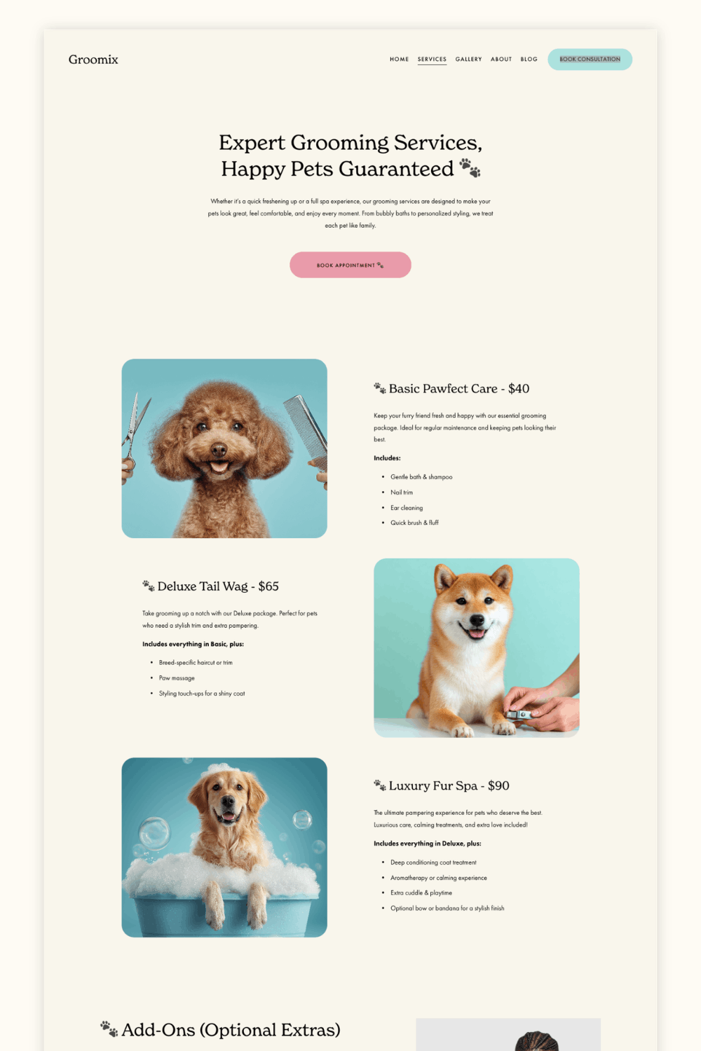grooming salon squarespace template.png