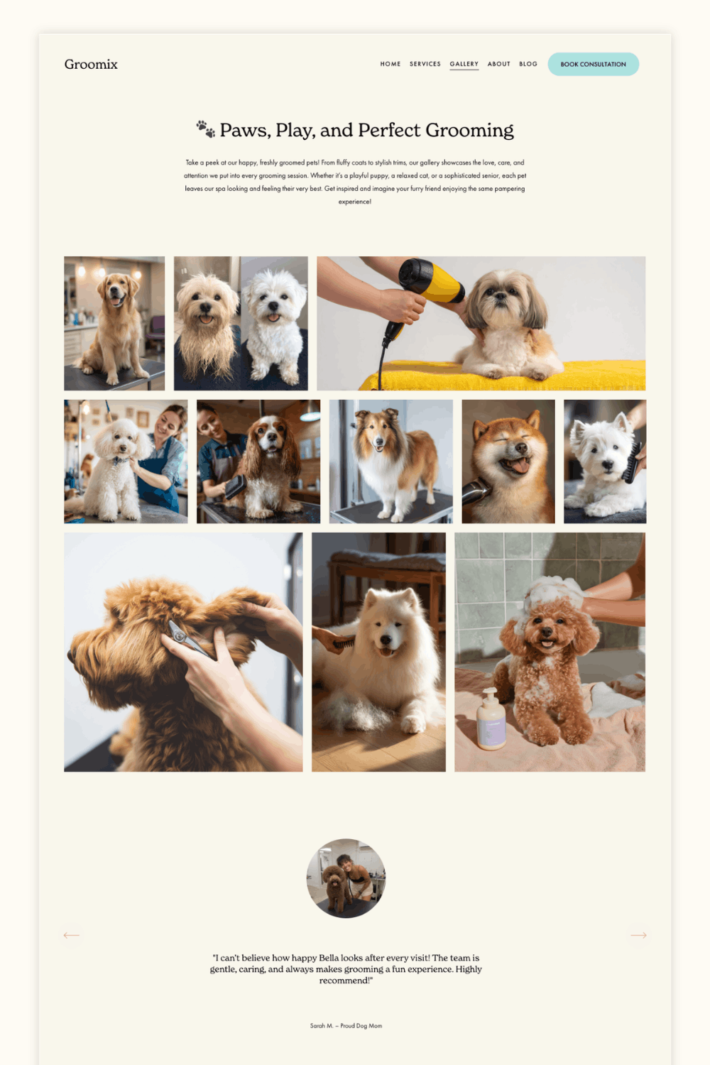 pet salon squarespace template.png