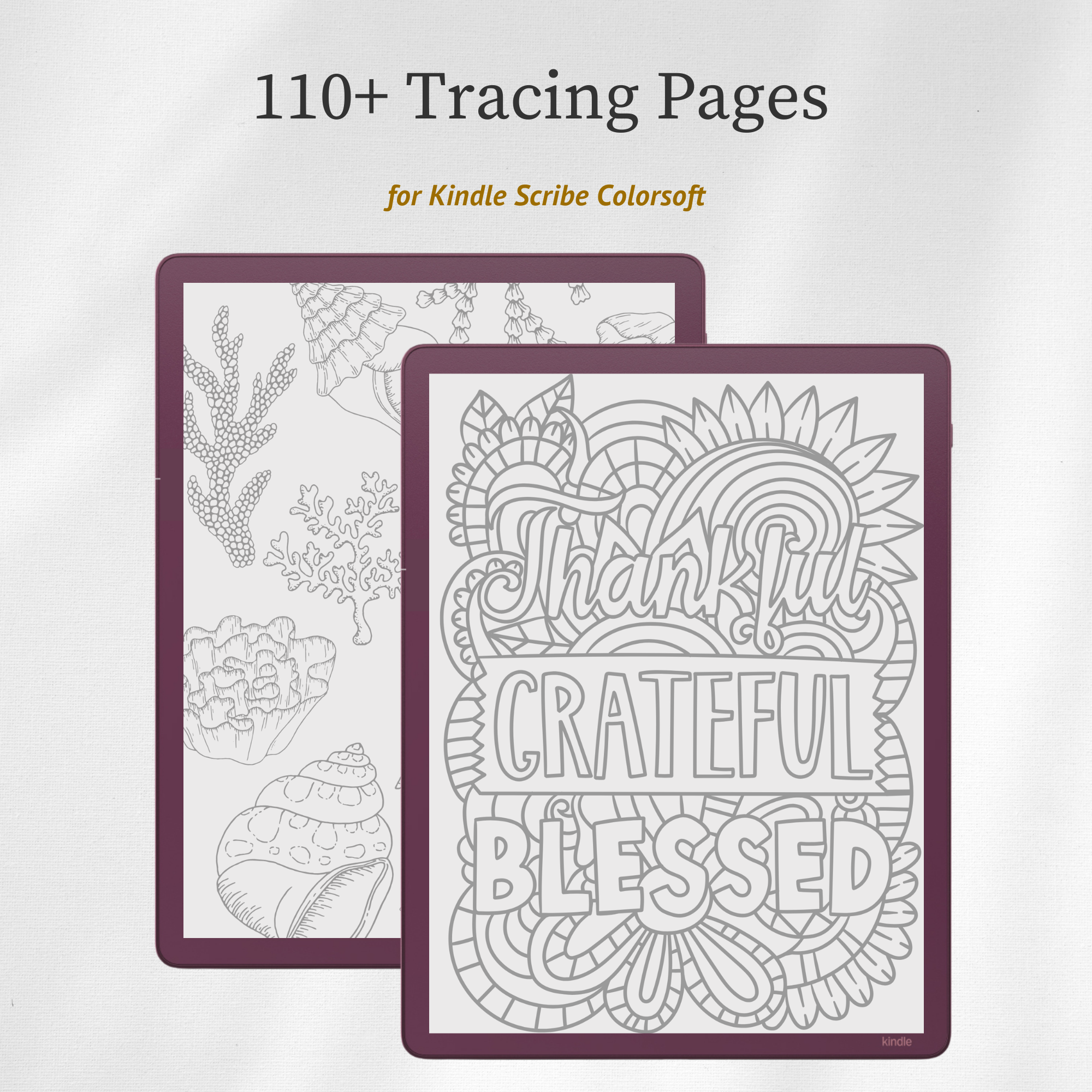 Tracing Book Bundle for Scribe Colorsoft