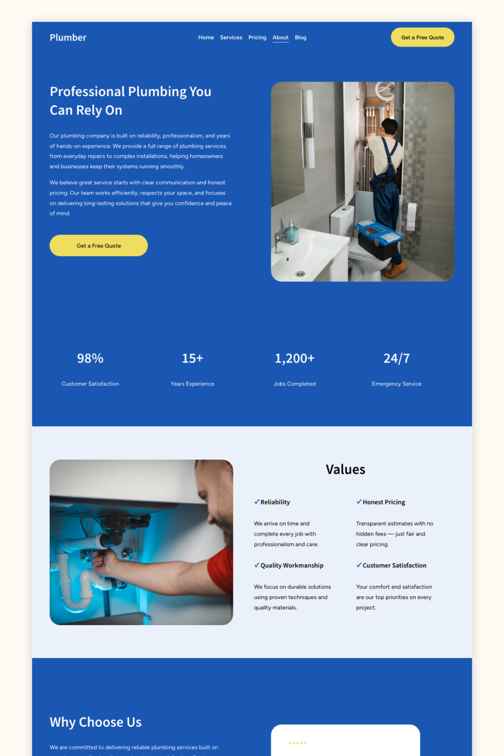 plumbing professional squarespace template.png