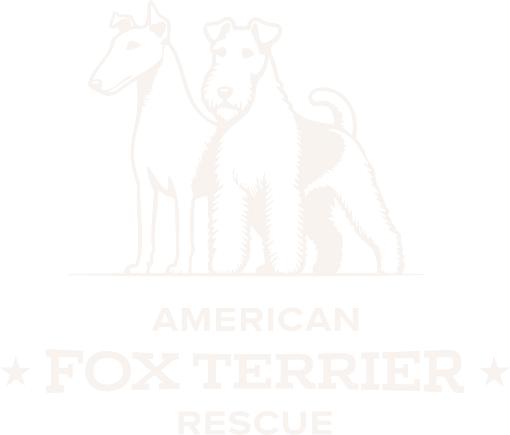 American Fox Terrier Rescue