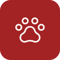 White paw print icon on a red background.