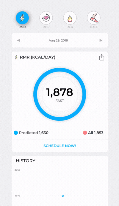 RMR results in the DexaFit ai app