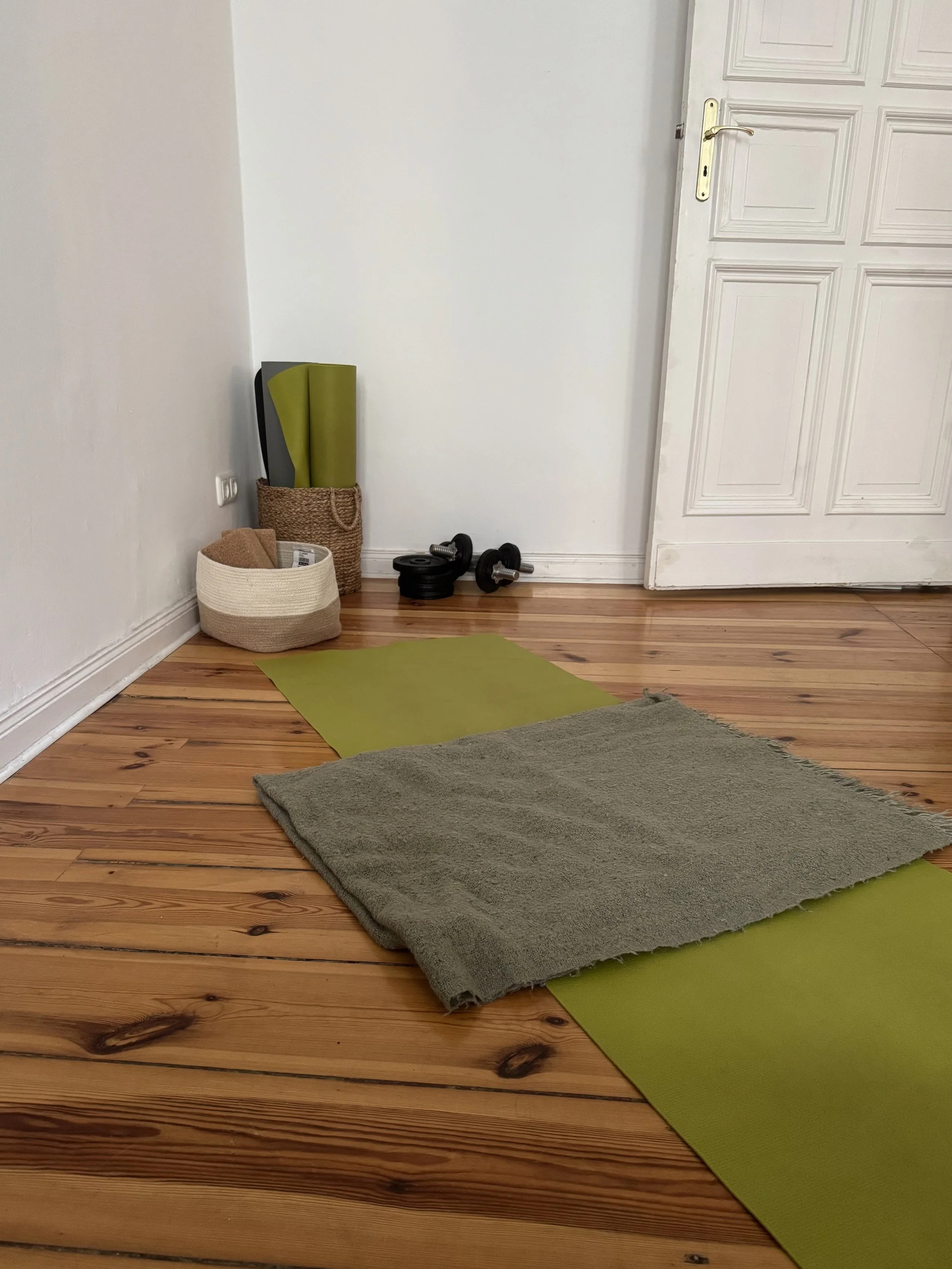 TCTSY- Trauma Sensitive Yoga x 4