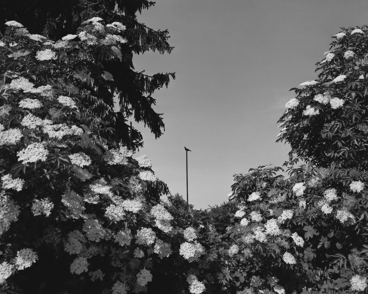 Export-040.jpg