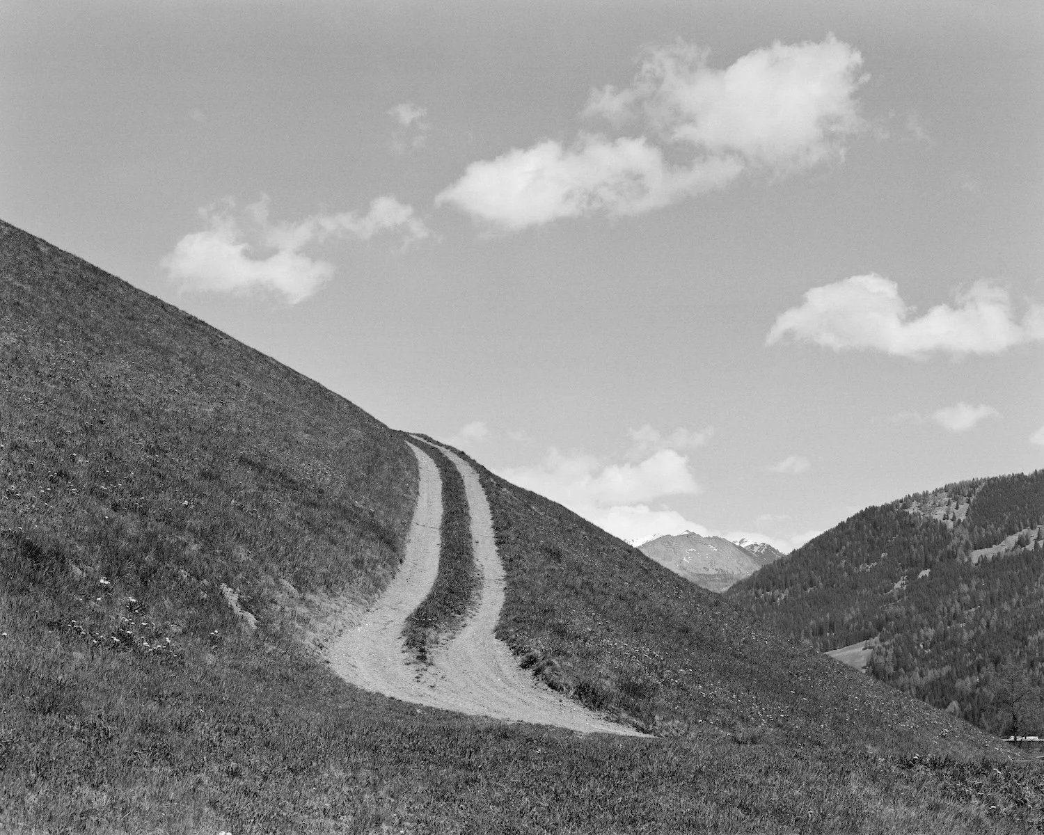 Export-075.jpg