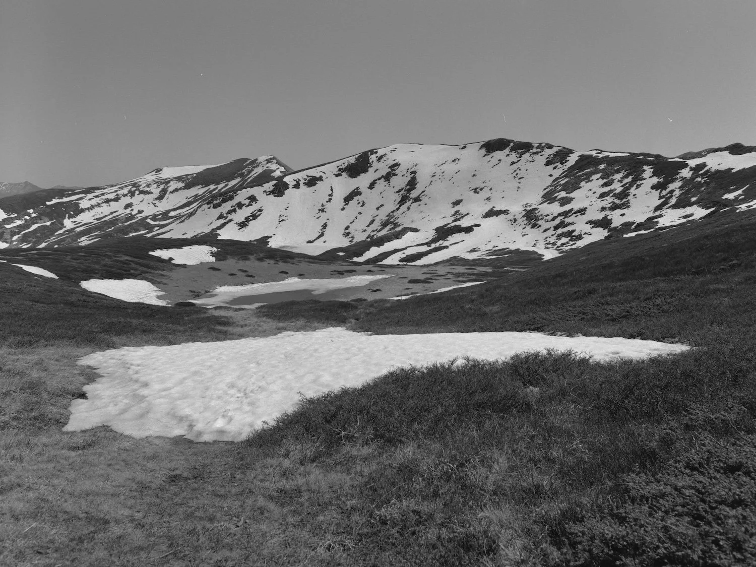 Export-008.jpg
