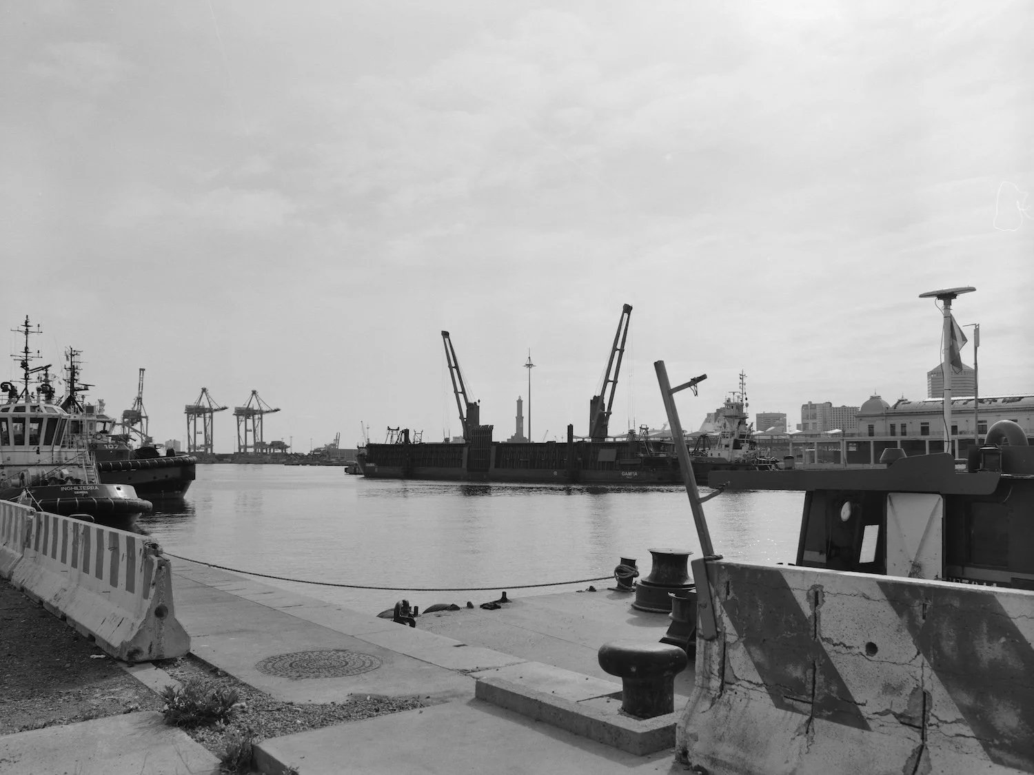 Export-037.jpg