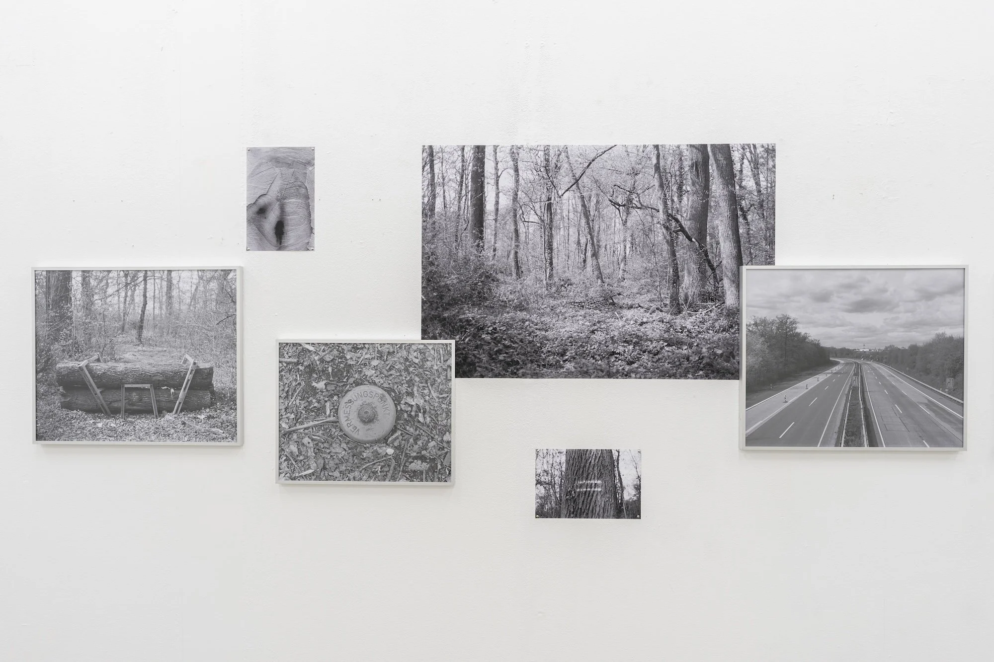 Ausstelllungsansicht links-07342.jpg