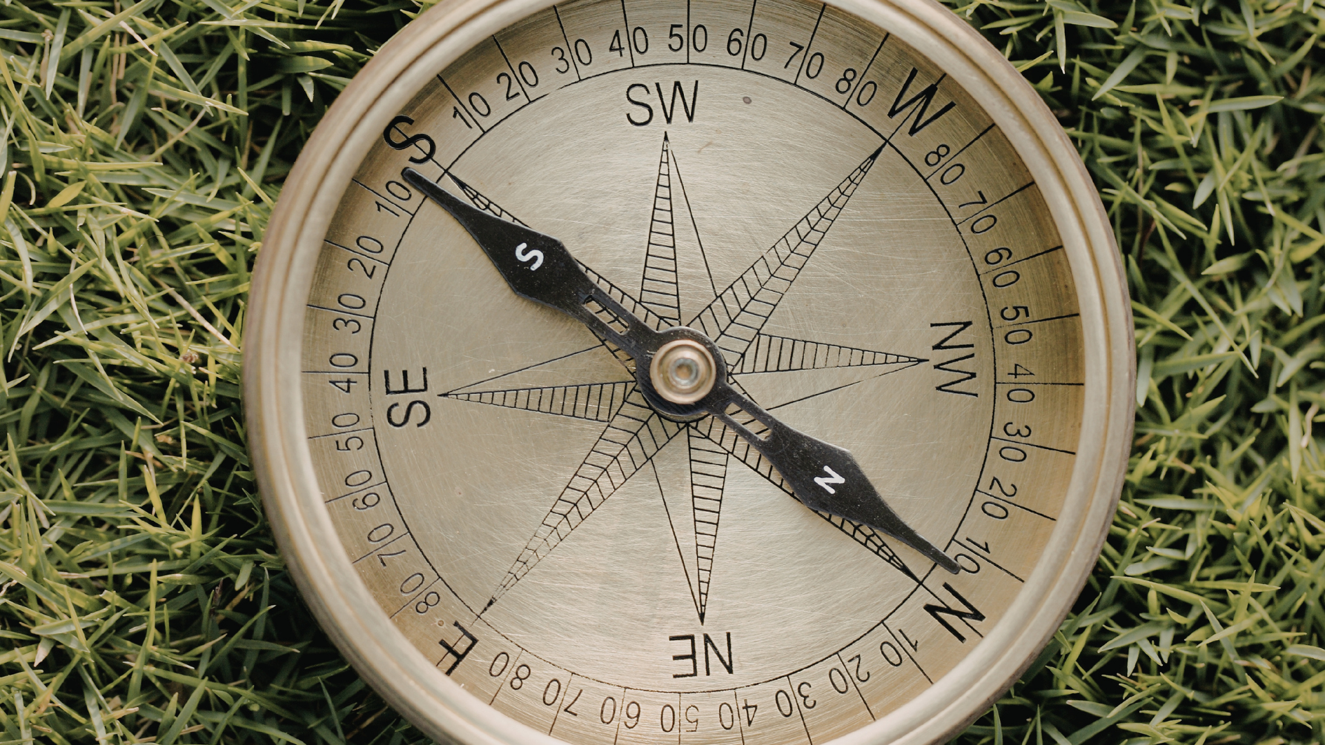 The Quiet Voice That Always Knew