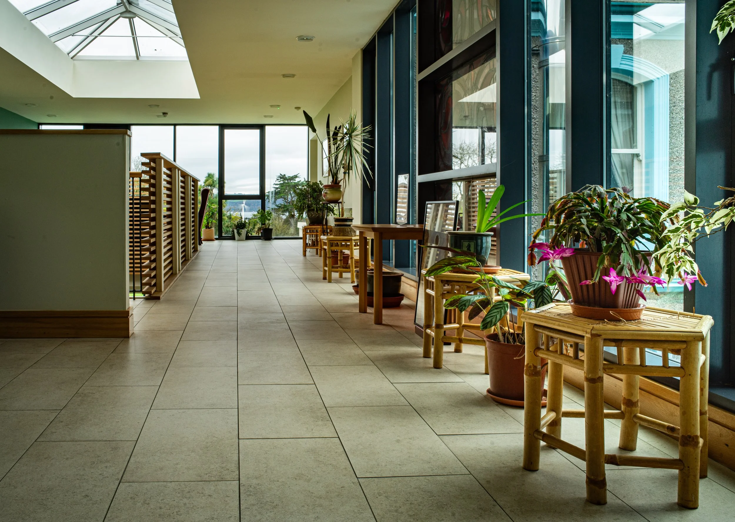 A light-filled corridor with plants and seating at Drumalis in Larne