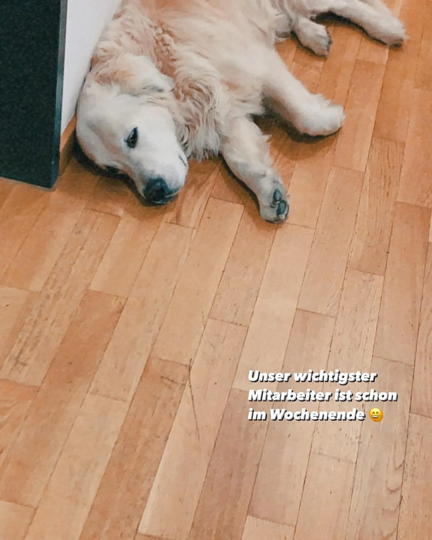 #mleadunlimited #max #