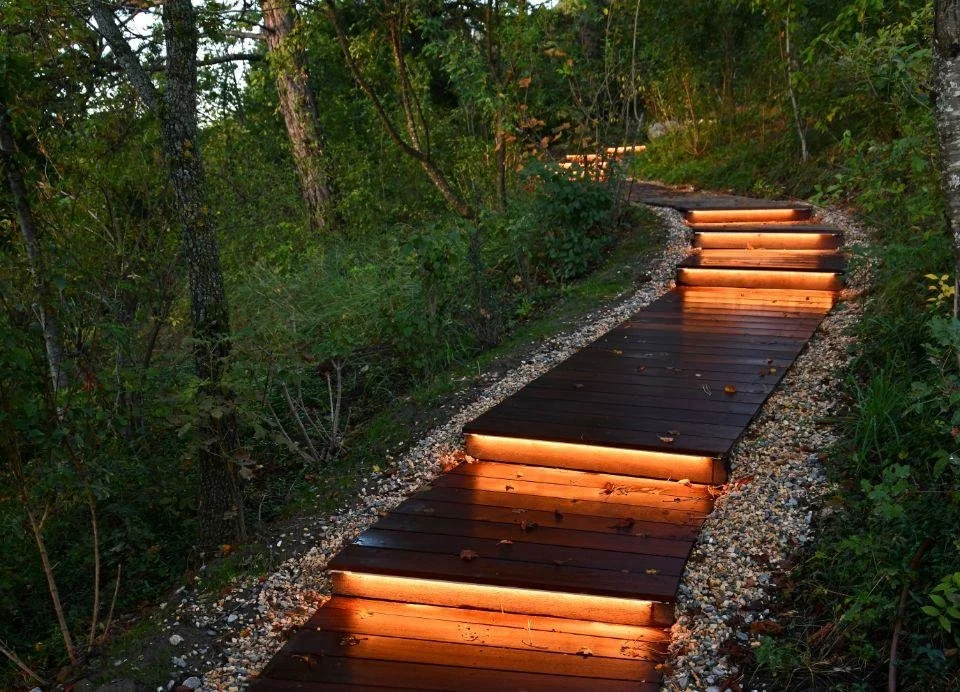 chemin night lumi.jpeg