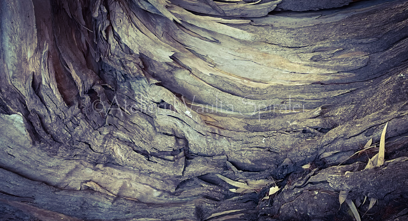 Ancient Surfaces — Whispering Grain: Fold of the Elder Bark