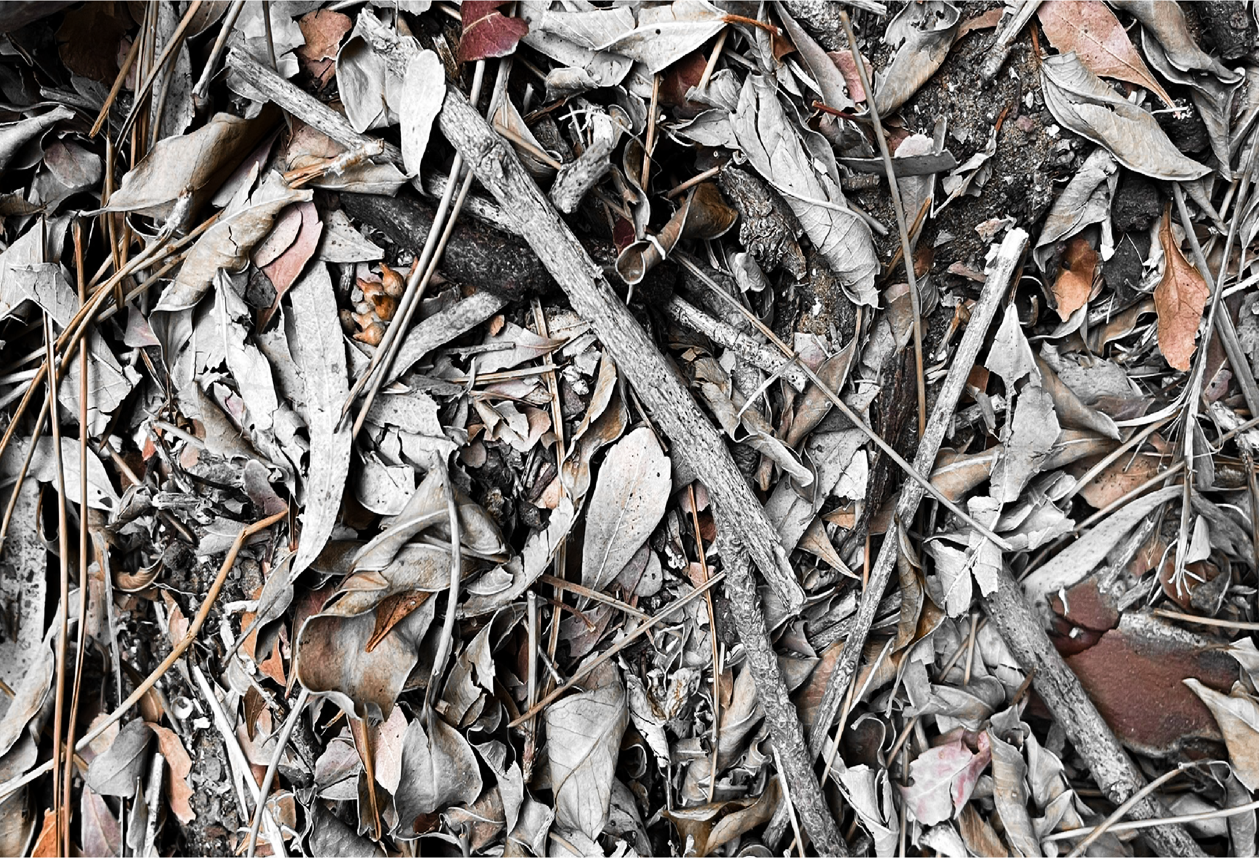 Ancient Surfaces — Fallen Archive: Ember Lattice