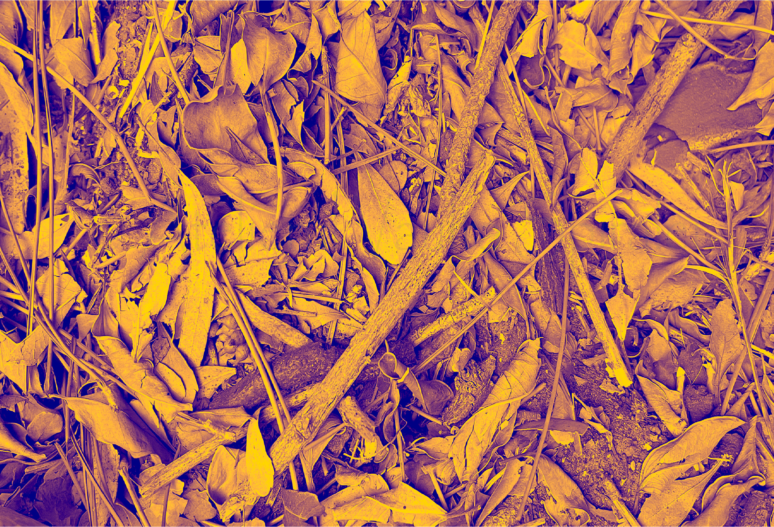 Ancient Surfaces — Fallen Archive: Gilded Descent