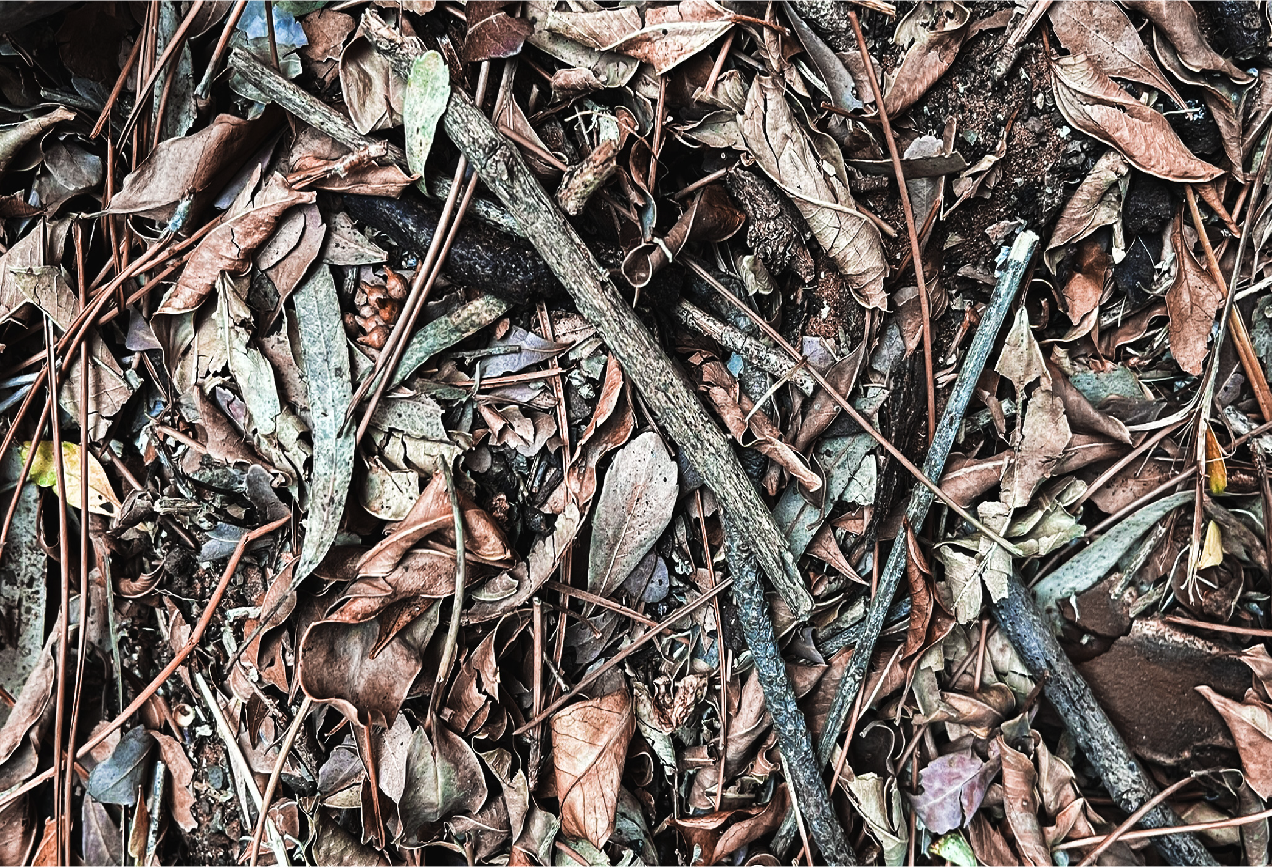 Ancient Surfaces — Fallen Archive: Crossing Relic