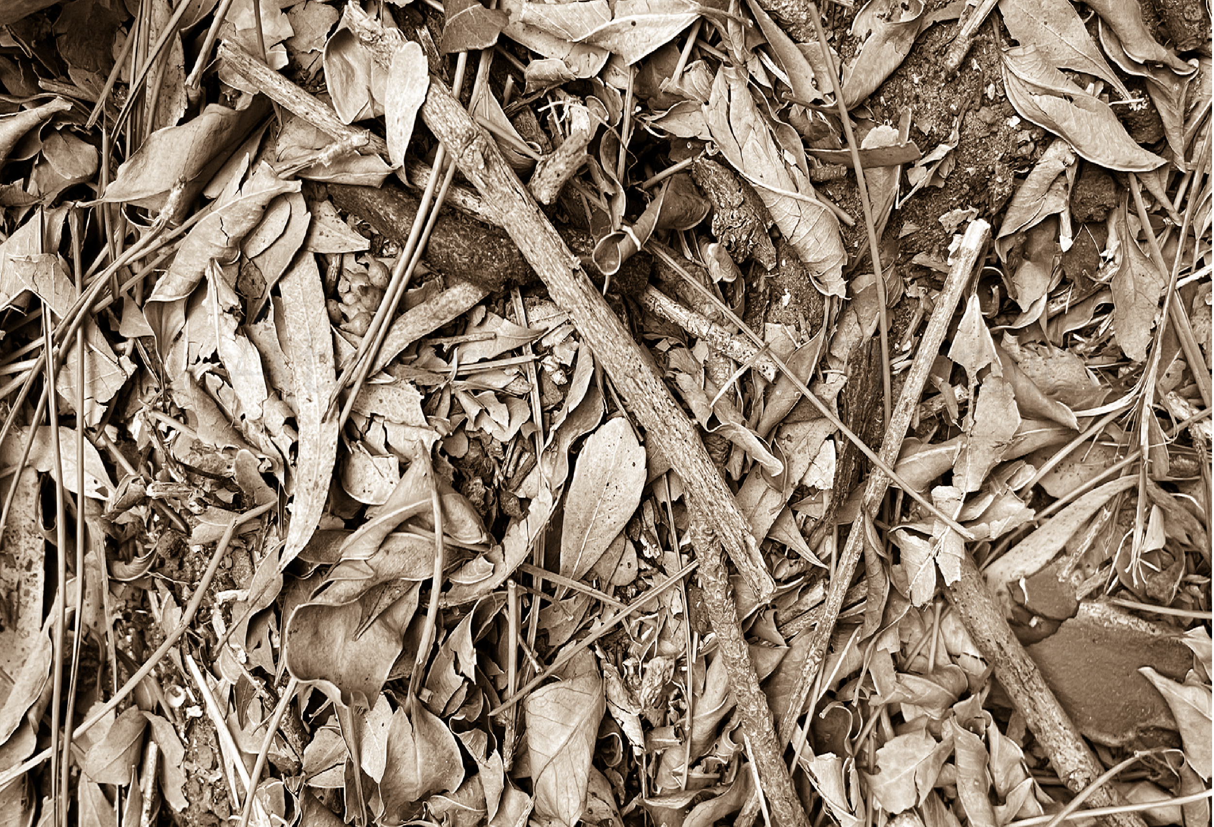 Ancient Surfaces — Fallen Archive: Dust Concord