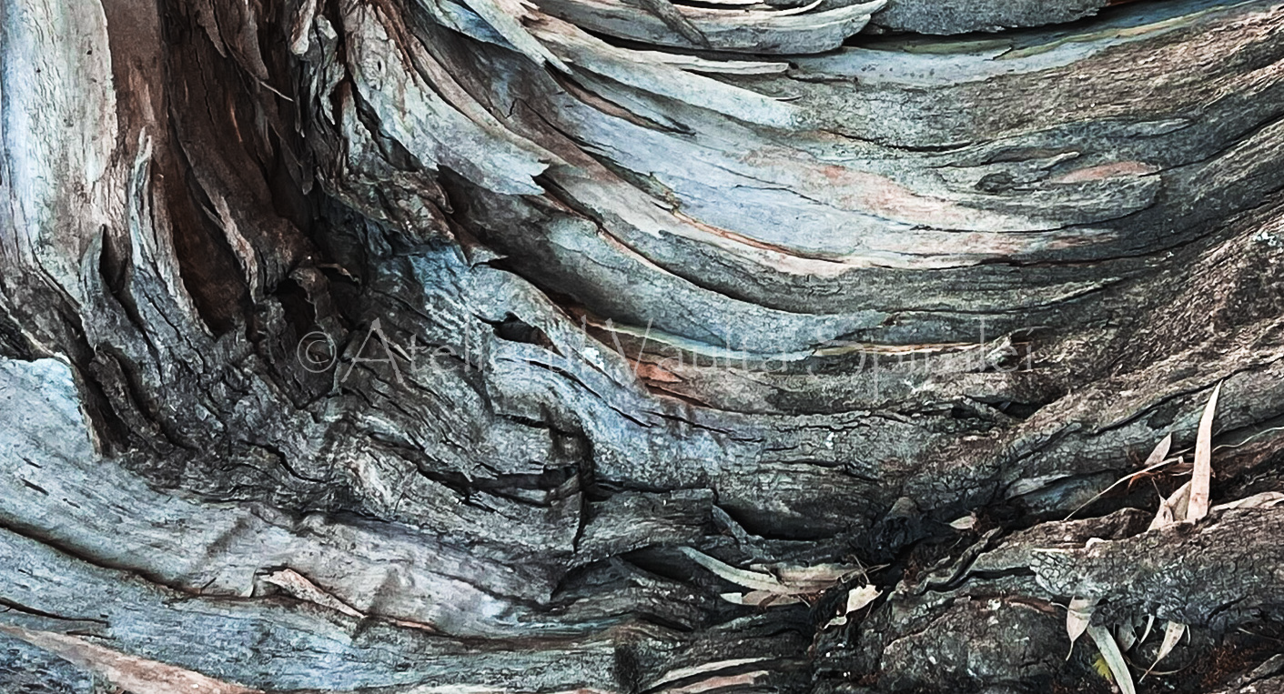 Ancient Surfaces — Whispering Grain: Vein of the Old Tree