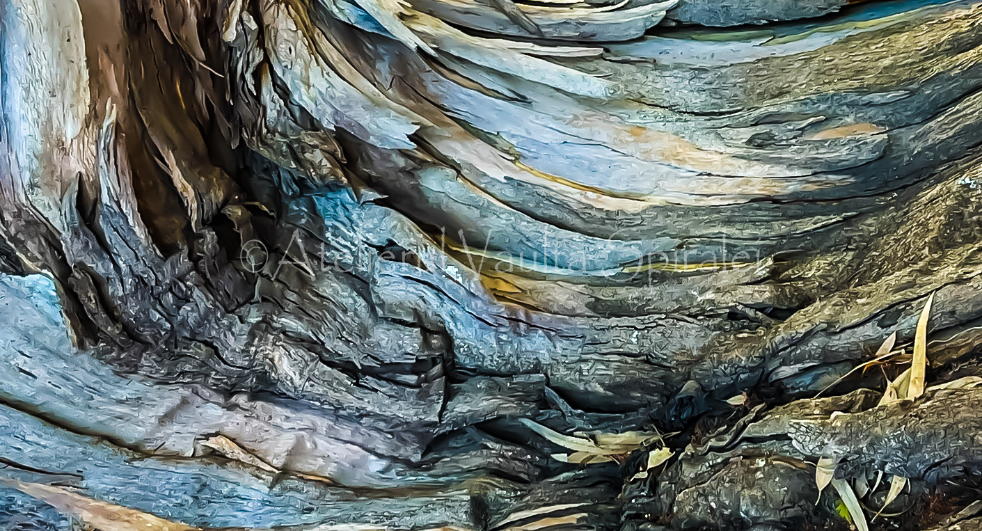 Ancient Surfaces — Whispering Grain: Rootlight Accord