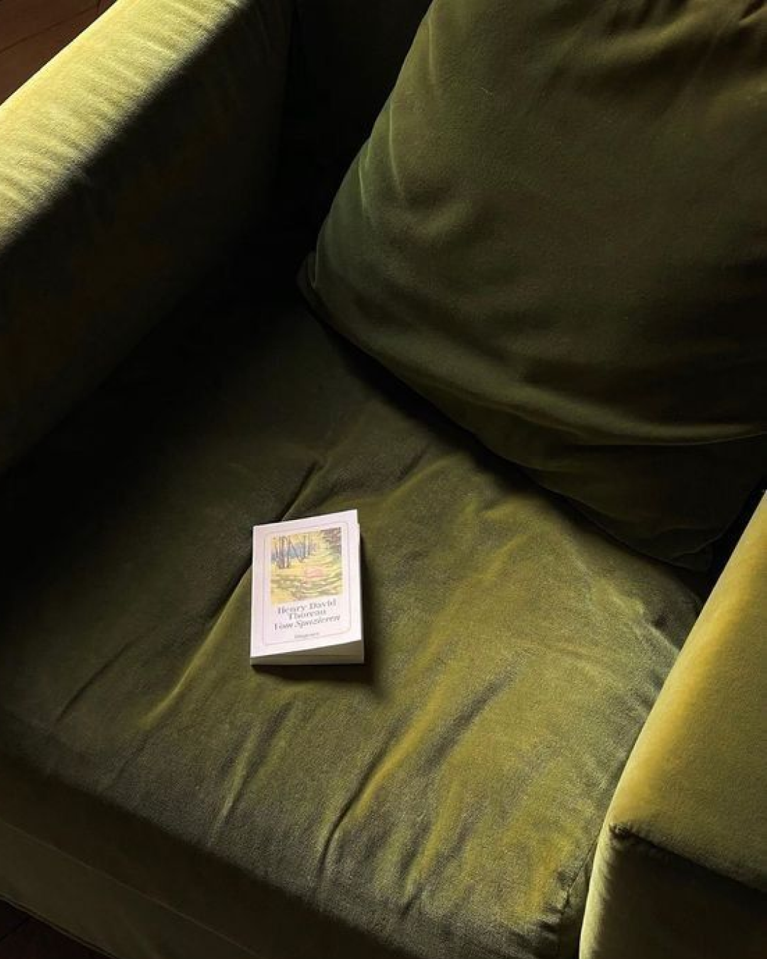 A small stack of books sitting on a yellowish-green velvet couch, with a background of a matching yellowish-green armrest and black cushions.
