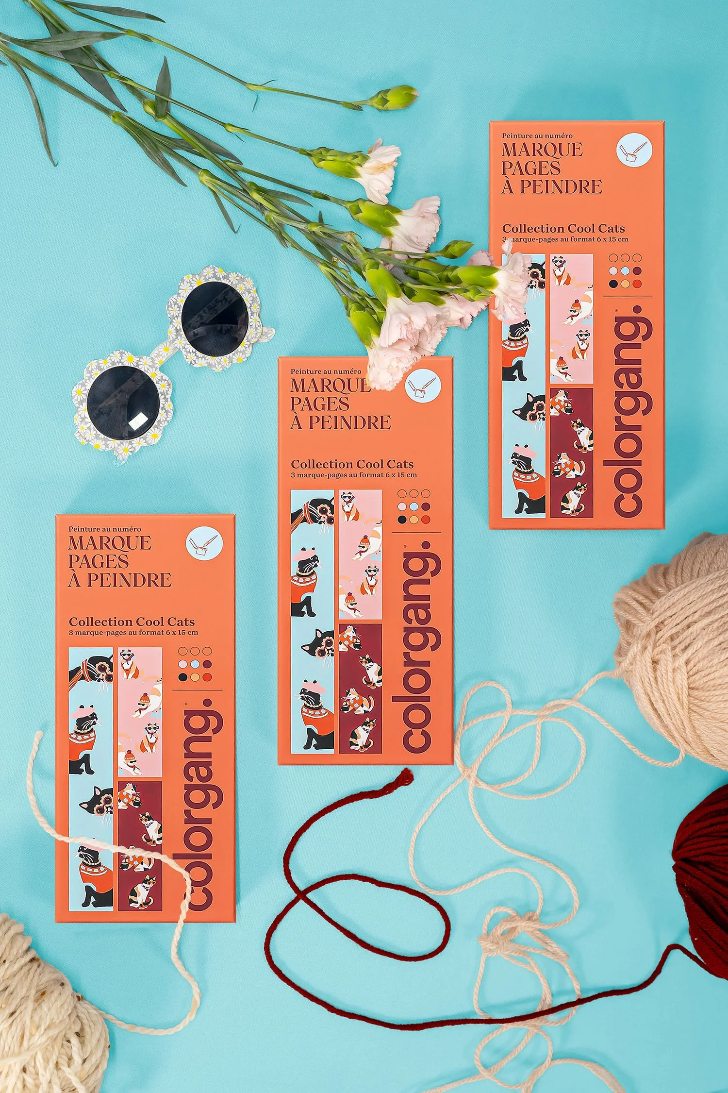 branding-packaging-colorgang-studio-marque-page-salamo-photo.jpg