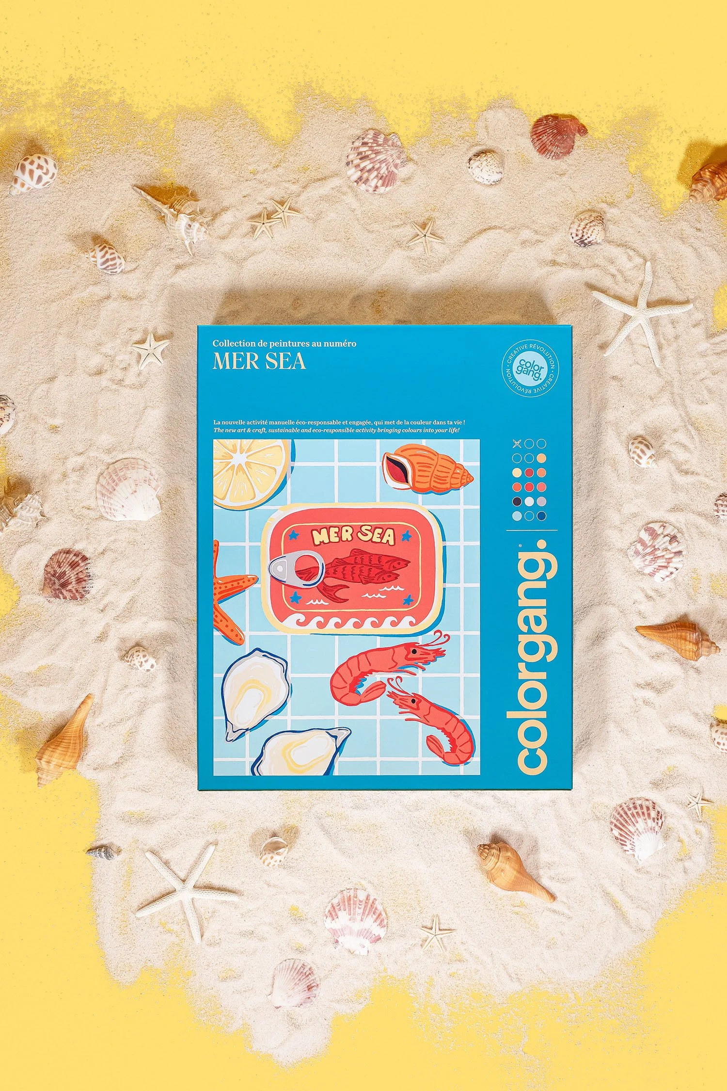 branding-packaging-colorgang-studio-plage-salamo-photo.jpg