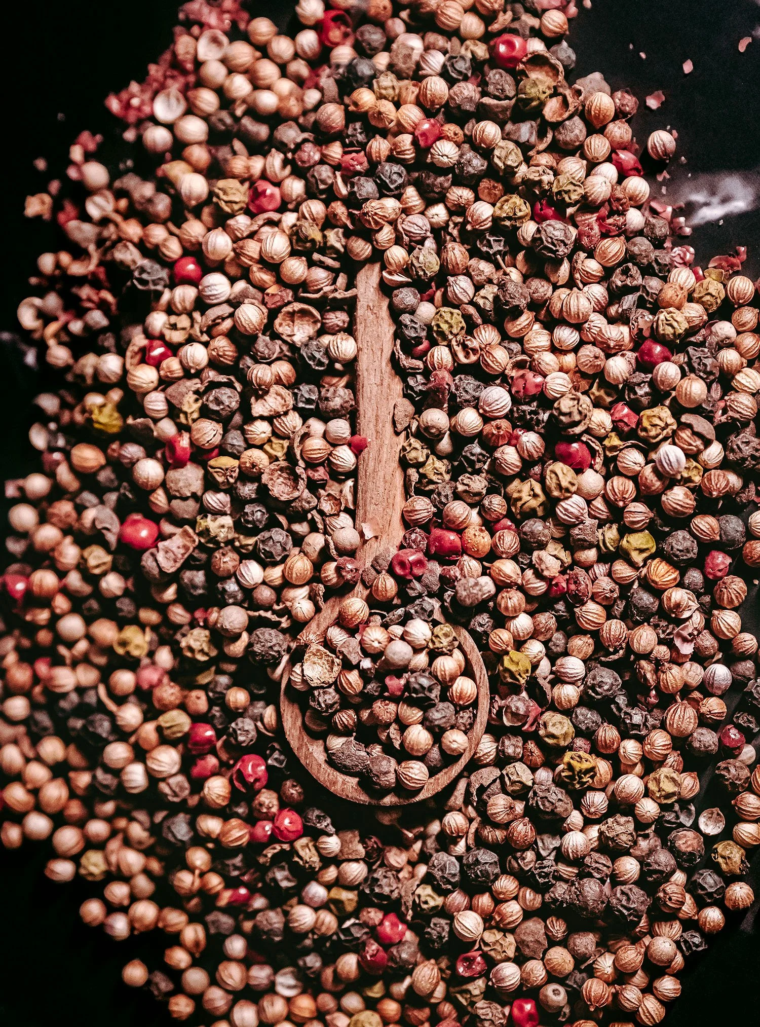 photographie-culinaire-poivron-ingredient-details-salamo-photo.jpg