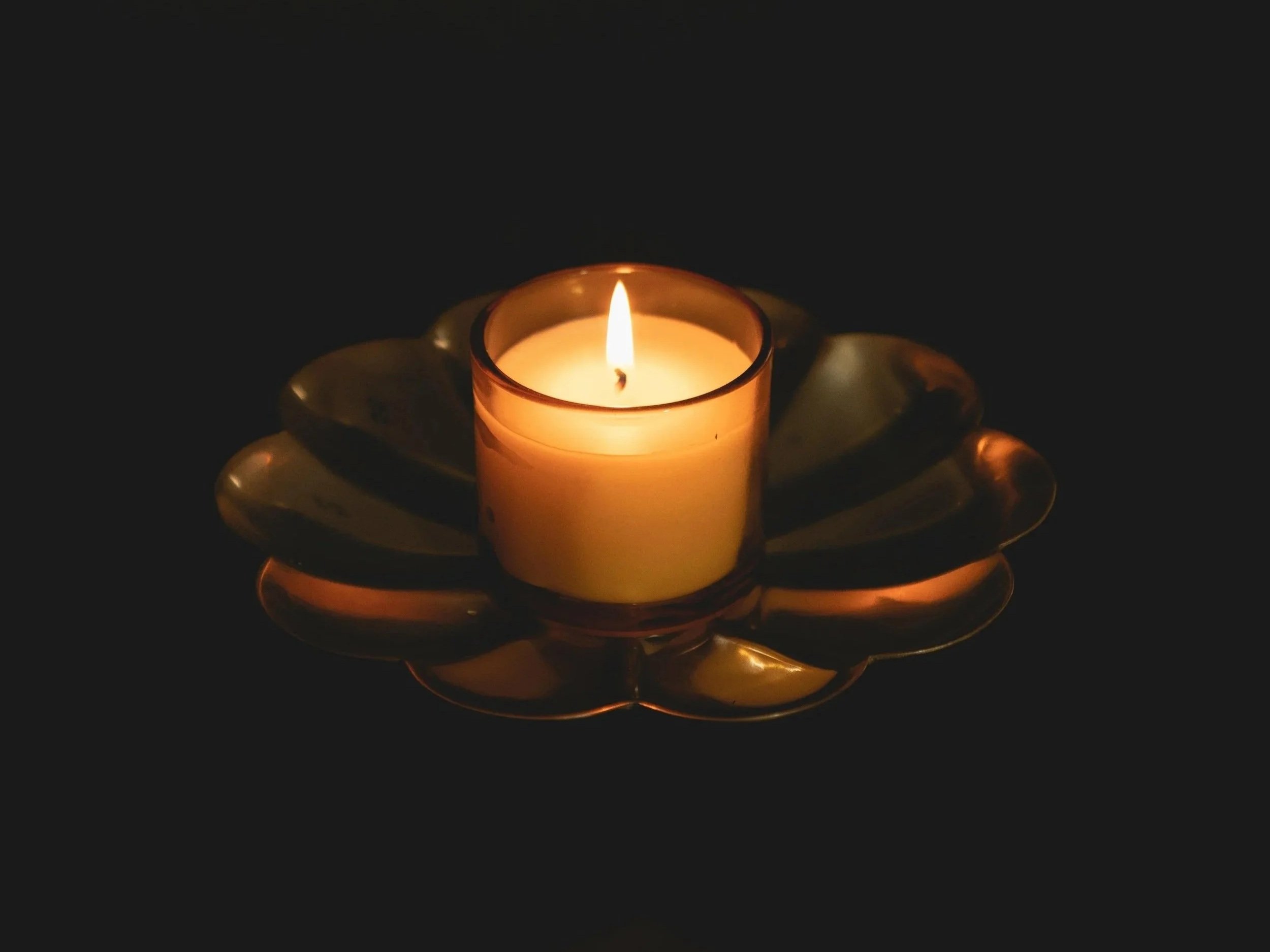 Vela encendida sobre un plataforma de pétalos de flor en un fondo oscuro.