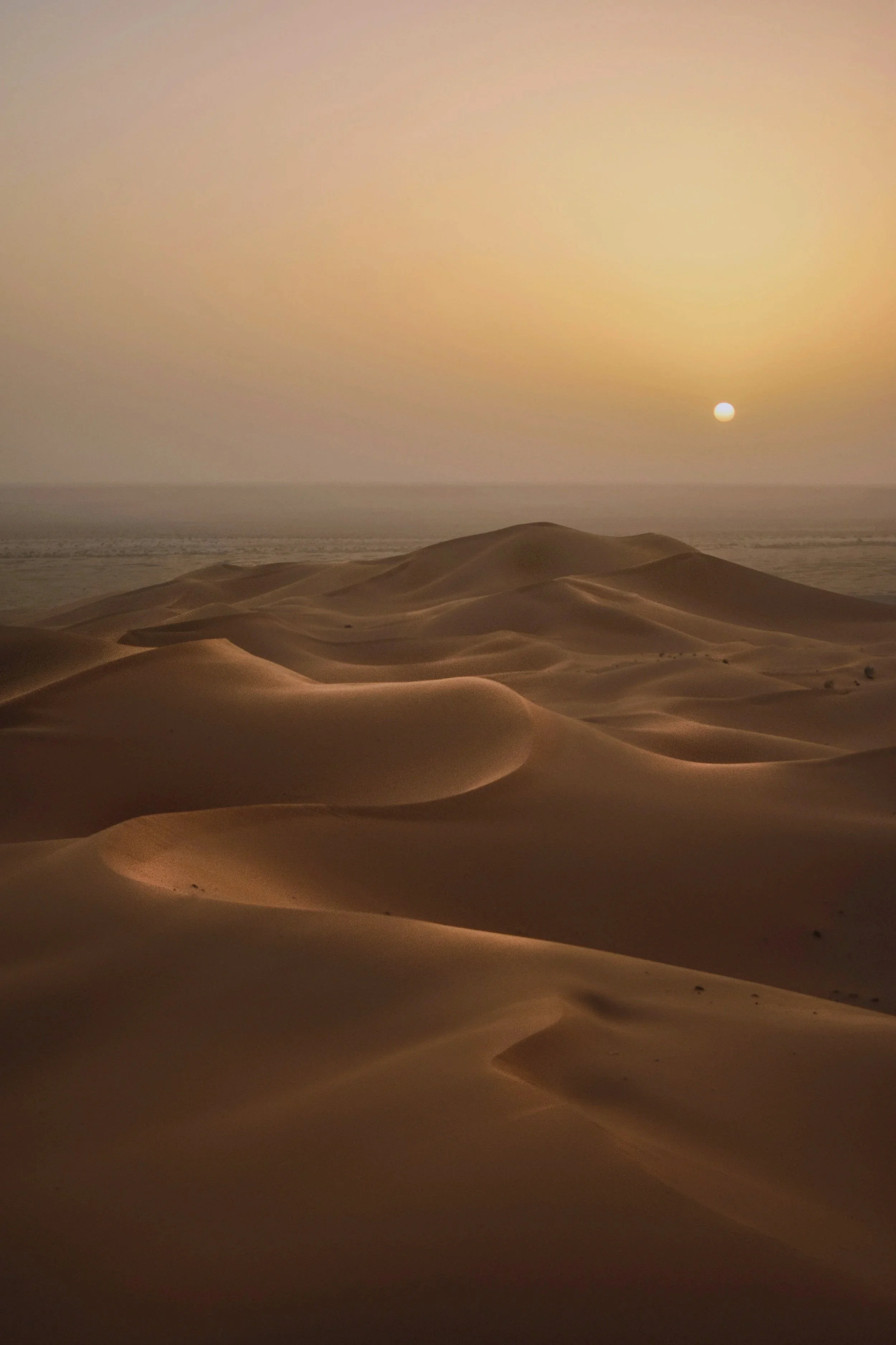 Dunas de arena en un desierto con atardecer o amanecer y el sol en el horizonte.