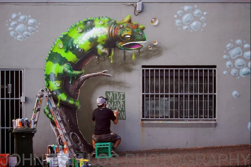 Chameleon Sign Off MM1.jpg