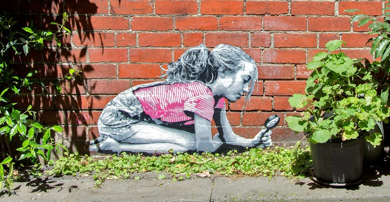 Life in the undergrowth -n20- Gilford Lane Melbourne.jpg