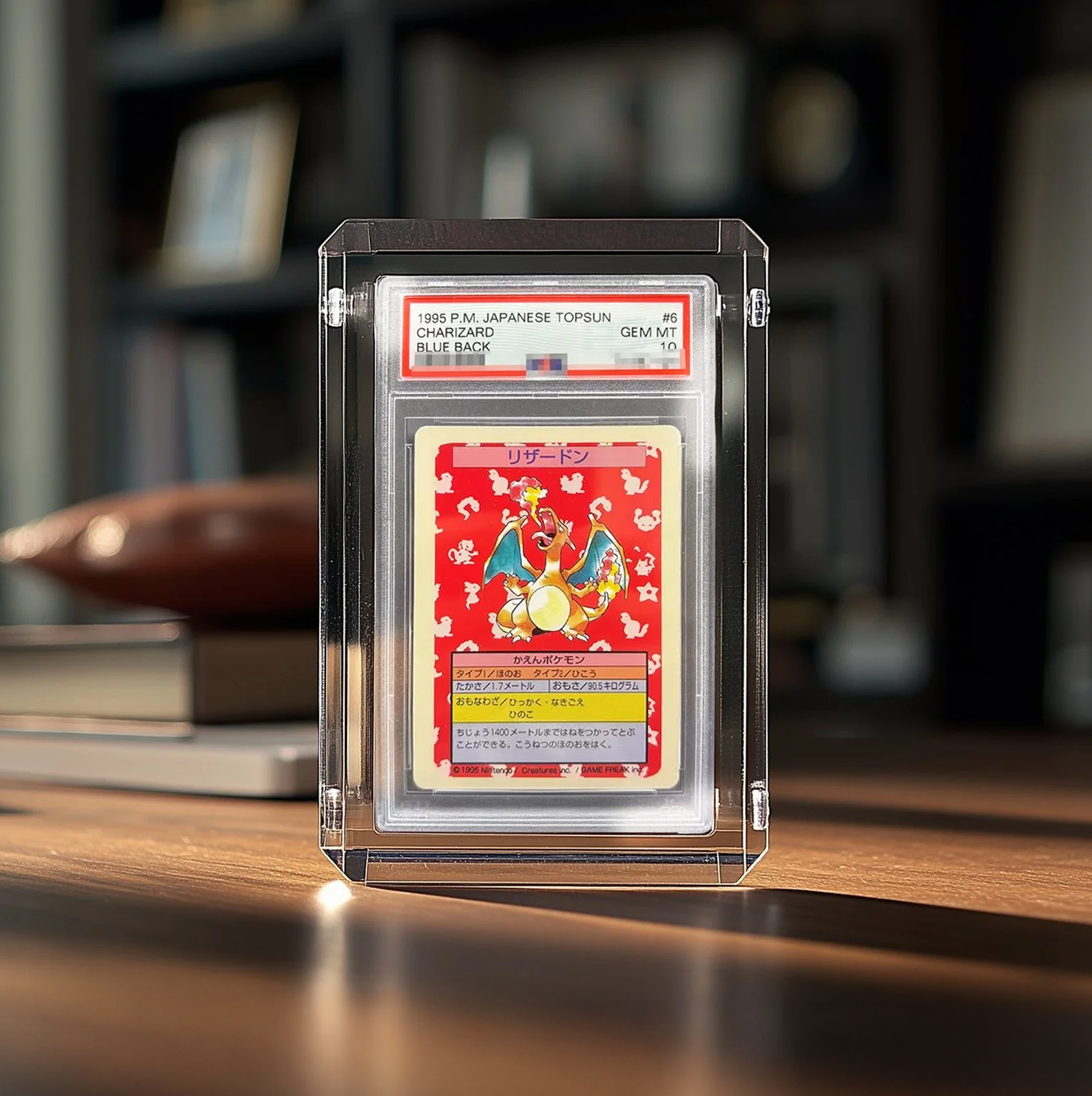 Topsun Charizard 2.png