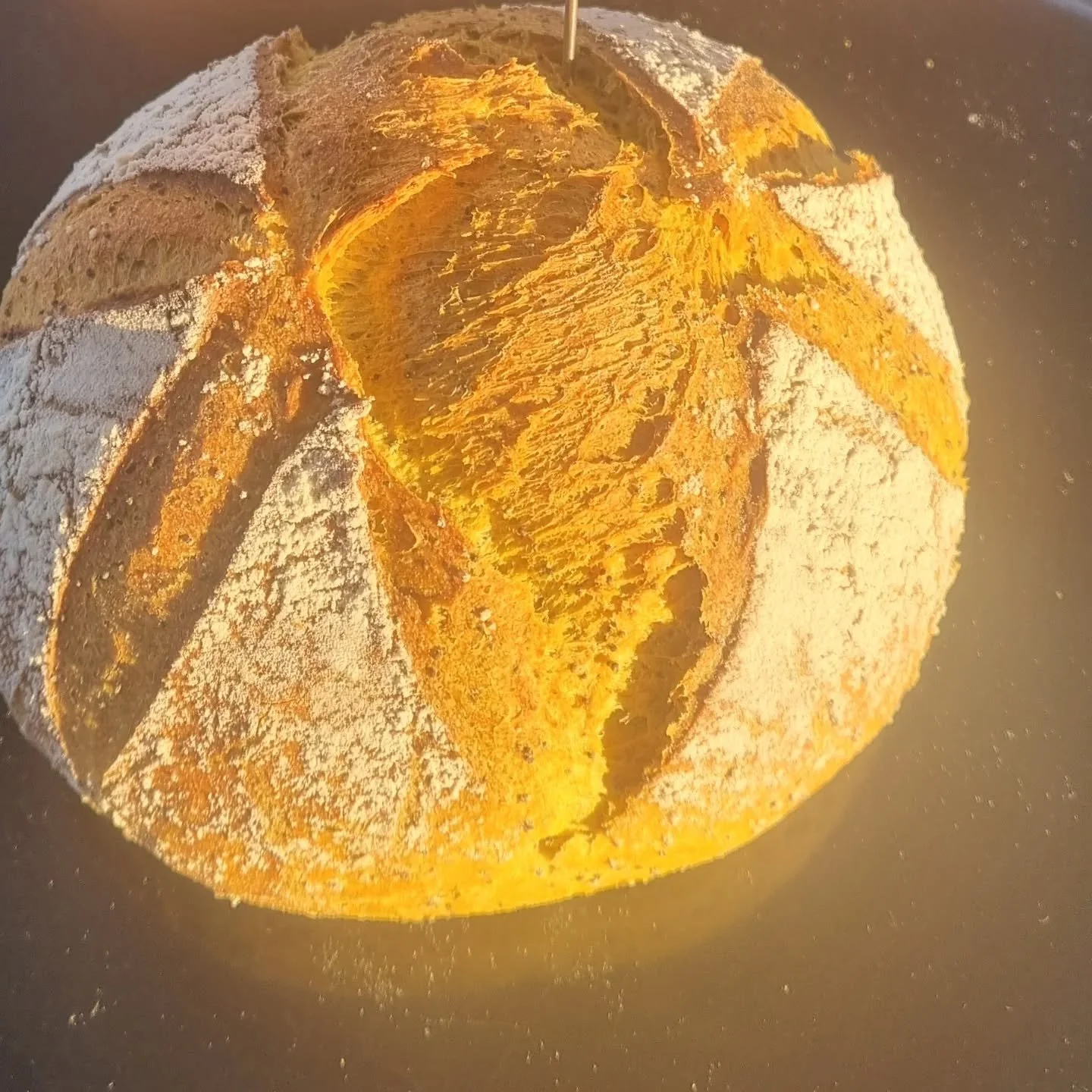 Ce mois ci a l honneur et a votre souhait le retour du pain safran et pavot
Farines de @affaire_tournereve et du @domaine_des_vignolles